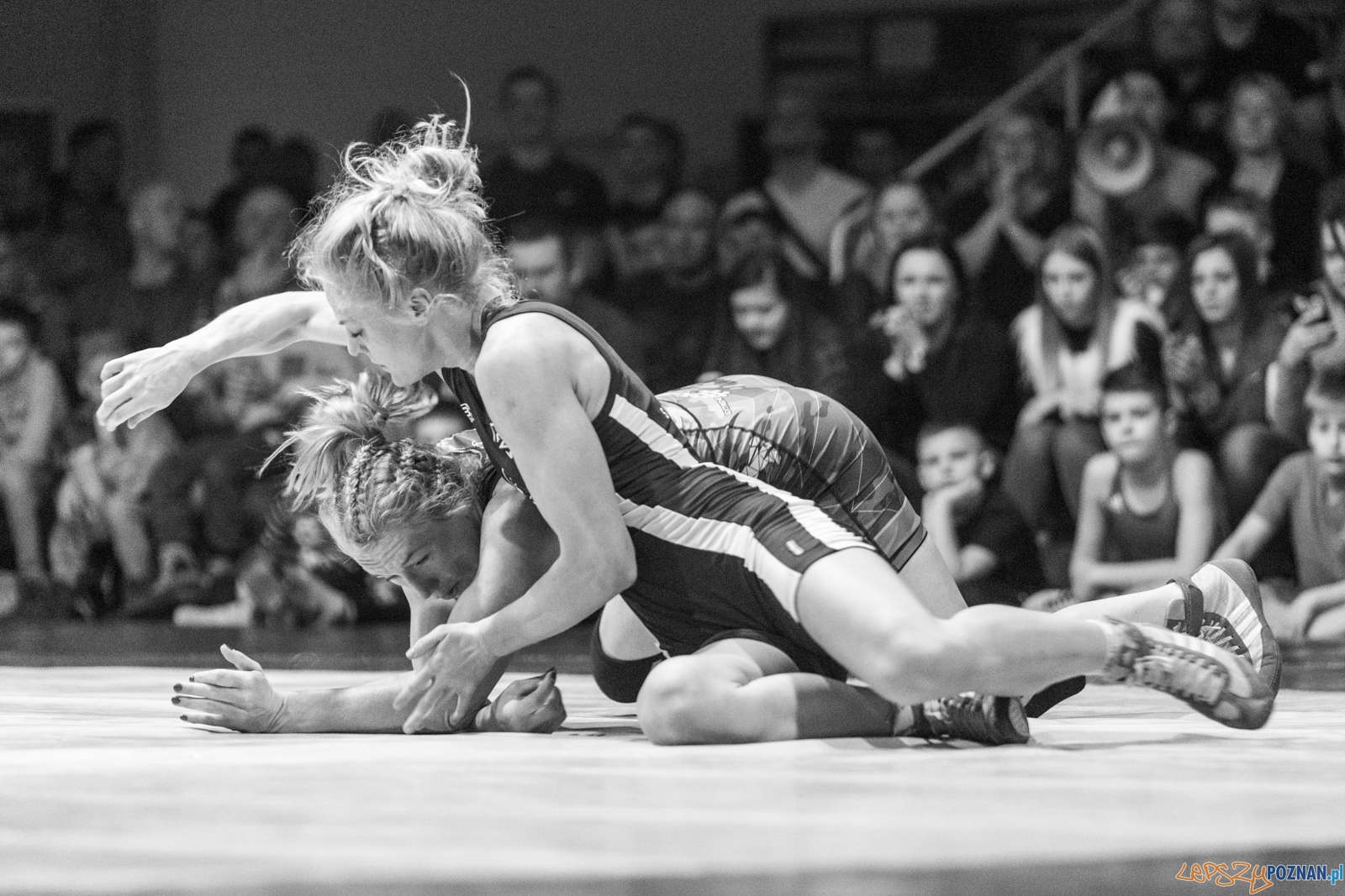 Krajowa Liga Zapaśnicza - WKS Grunwald - AZ Supra Brokers Wroc Foto: lepszyPOZNAN.pl / Piotr Rychter Krajowa Liga Zapaśnicza - WKS Grunwald - AZ Supra Brokers Wroc Foto: lepszyPOZNAN.pl / Piotr Rychter