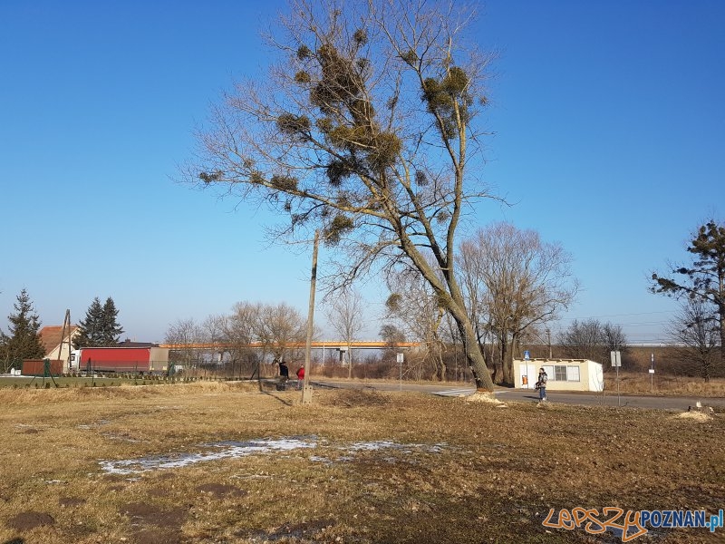 Mieszkańcy wzięli sprawy w swoje ręce Foto: UMiG Oborniki Mieszkańcy wzięli sprawy w swoje ręce Foto: UMiG Oborniki