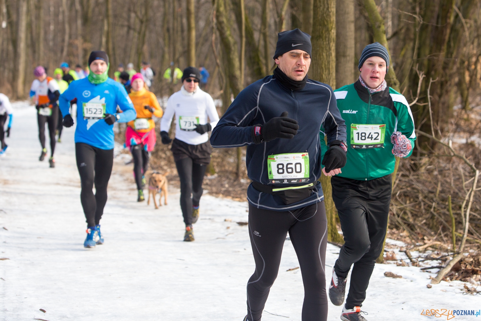 50-ty City Trail w Poznaniu Foto: lepszyPOZNAN.pl / Piotr Rychter 50-ty City Trail w Poznaniu Foto: lepszyPOZNAN.pl / Piotr Rychter