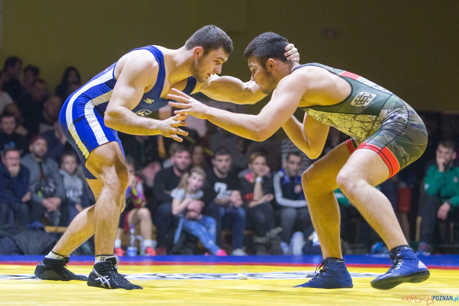 Krajowa Liga Zapaśnicza - WKS Grunwald - AZ Supra Brokers Wroc Foto: lepszyPOZNAN.pl / Piotr Rychter Krajowa Liga Zapaśnicza - WKS Grunwald - AZ Supra Brokers Wroc Foto: lepszyPOZNAN.pl / Piotr Rychter