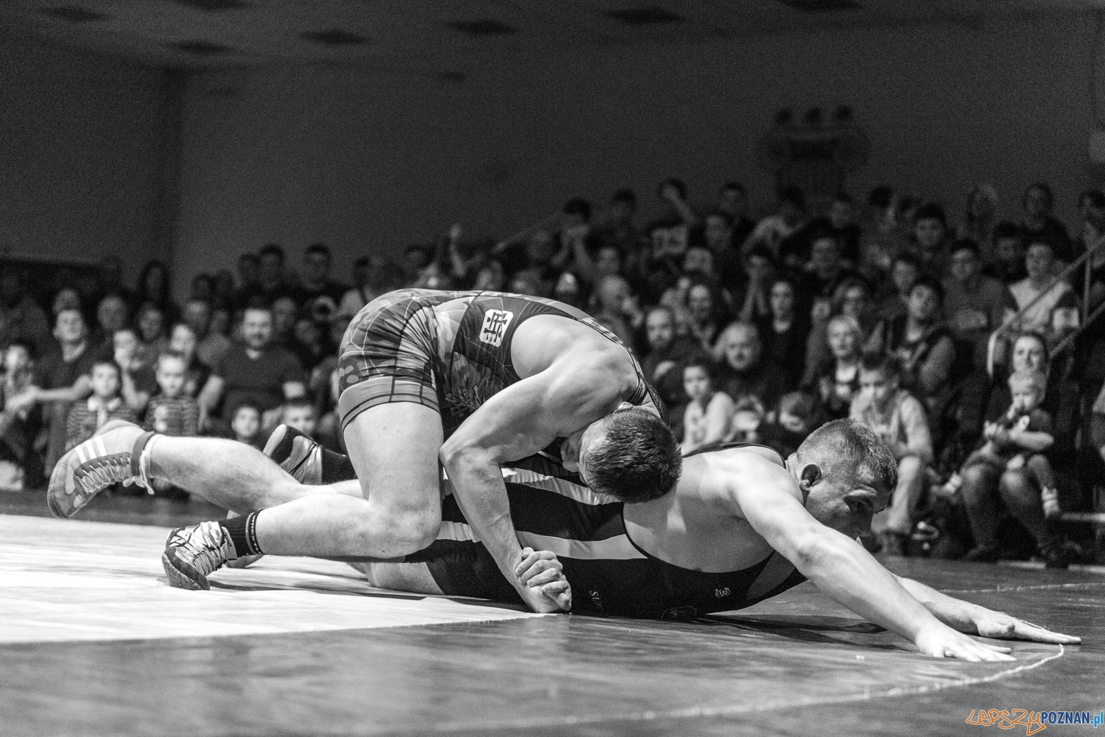 Krajowa Liga Zapaśnicza - WKS Grunwald - AZ Supra Brokers Wroc Foto: lepszyPOZNAN.pl / Piotr Rychter Krajowa Liga Zapaśnicza - WKS Grunwald - AZ Supra Brokers Wroc Foto: lepszyPOZNAN.pl / Piotr Rychter