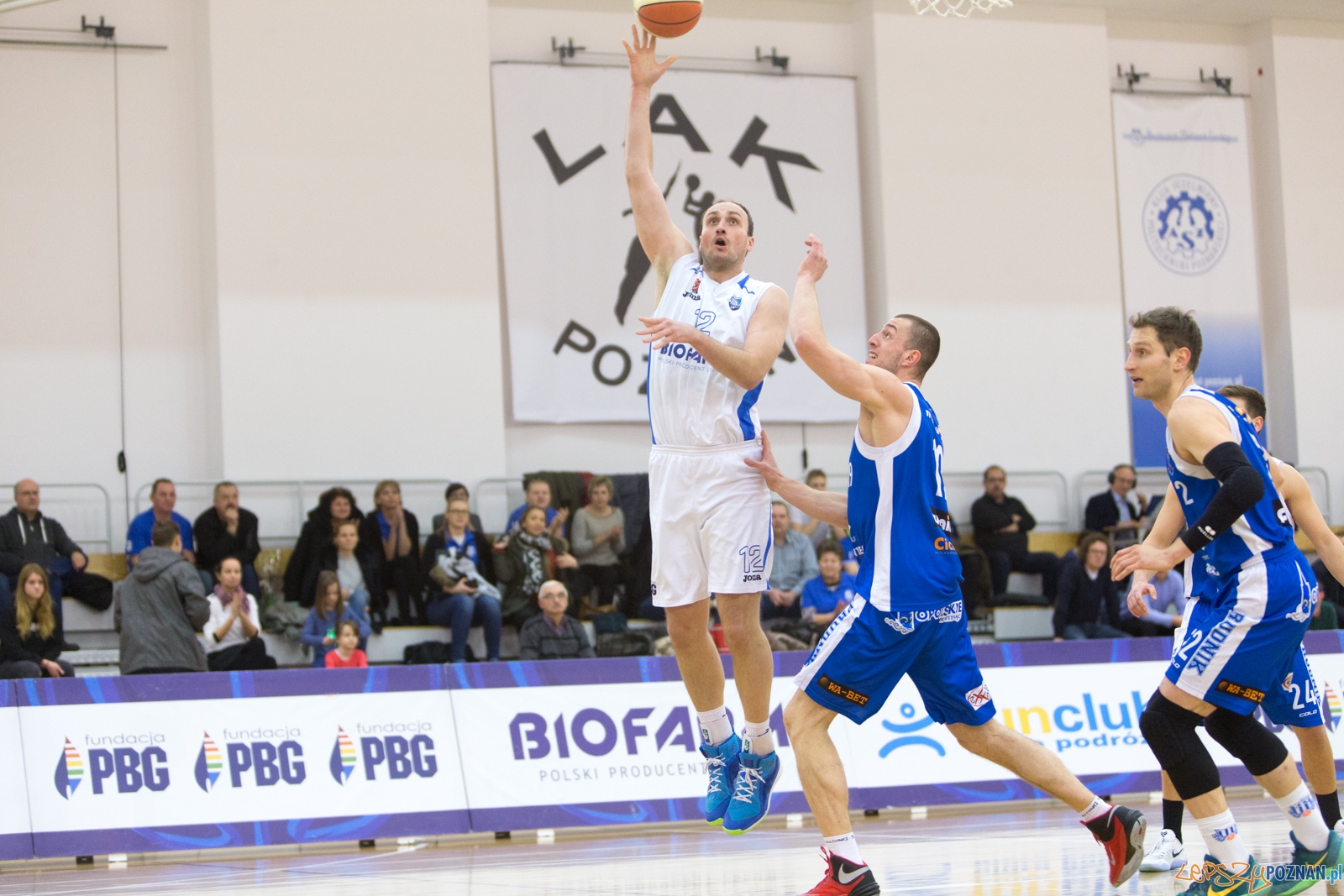 Biofarm Basket Poznań - Meritumkredyt Pogoń Prudnik Foto: lepszyPOZNAN.pl / Piotr Rychter Biofarm Basket Poznań - Meritumkredyt Pogoń Prudnik Foto: lepszyPOZNAN.pl / Piotr Rychter