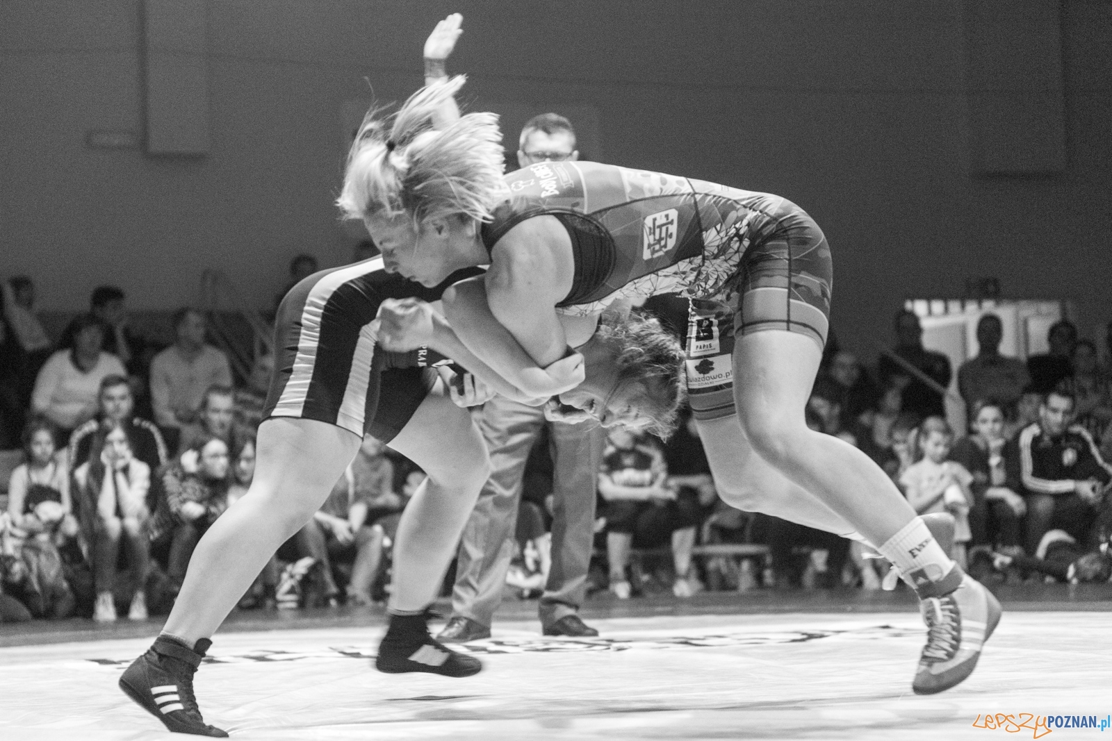 Krajowa Liga Zapaśnicza - WKS Grunwald - AZ Supra Brokers Wroc Foto: lepszyPOZNAN.pl / Piotr Rychter Krajowa Liga Zapaśnicza - WKS Grunwald - AZ Supra Brokers Wroc Foto: lepszyPOZNAN.pl / Piotr Rychter