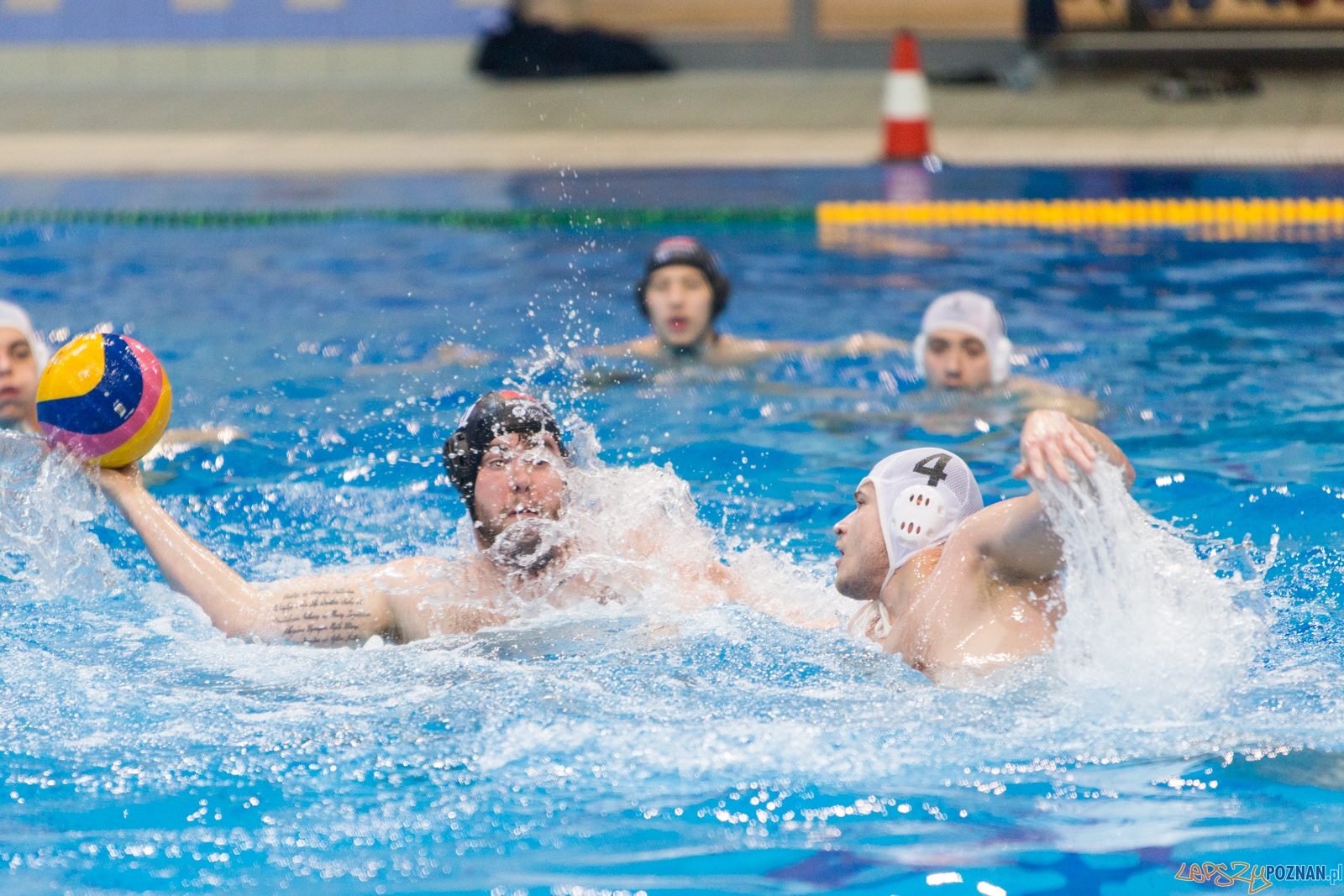 Waterpolo Poznań - Arkonia Szczecin Foto: lepszyPOZNAN.pl / Piotr Rychter Waterpolo Poznań - Arkonia Szczecin Foto: lepszyPOZNAN.pl / Piotr Rychter