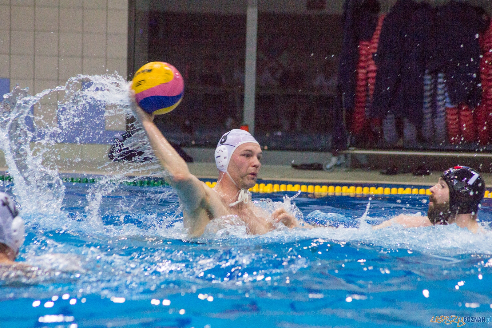 KS Waterpolo Poznań - Arkonia Szczecin Foto: lepszyPOZNAN.pl / Ewelina Jaśkowiak KS Waterpolo Poznań - Arkonia Szczecin Foto: lepszyPOZNAN.pl / Ewelina Jaśkowiak