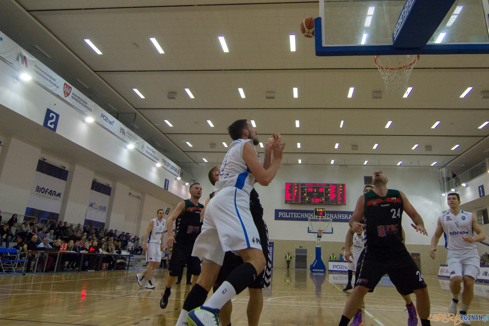 Biofarm Basket Poznań - GKS Tychy Foto: lepszyPOZNAN.pl / Ewelina Jaśkowiak Biofarm Basket Poznań - GKS Tychy Foto: lepszyPOZNAN.pl / Ewelina Jaśkowiak