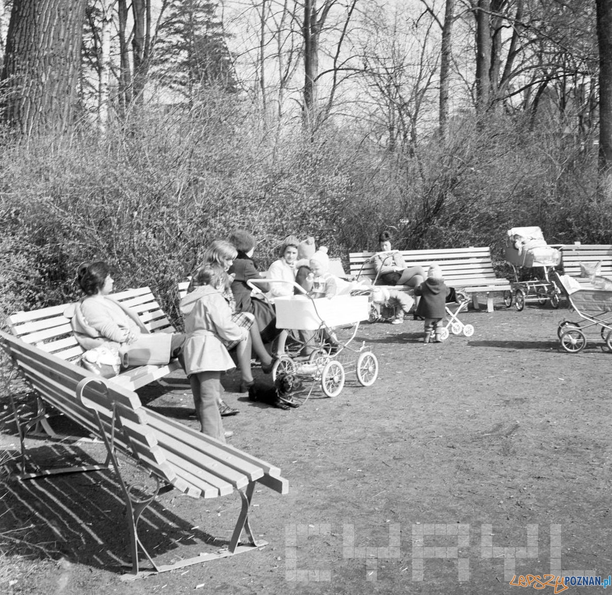 Park Sołacki - 20 marca 1974 Foto: Stanisław Wiktor / Cyryl Park Sołacki - 20 marca 1974 Foto: Stanisław Wiktor / Cyryl