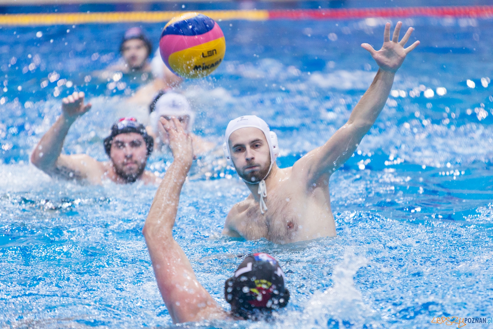 Waterpolo Poznań - Arkonia Szczecin Foto: lepszyPOZNAN.pl / Piotr Rychter Waterpolo Poznań - Arkonia Szczecin Foto: lepszyPOZNAN.pl / Piotr Rychter