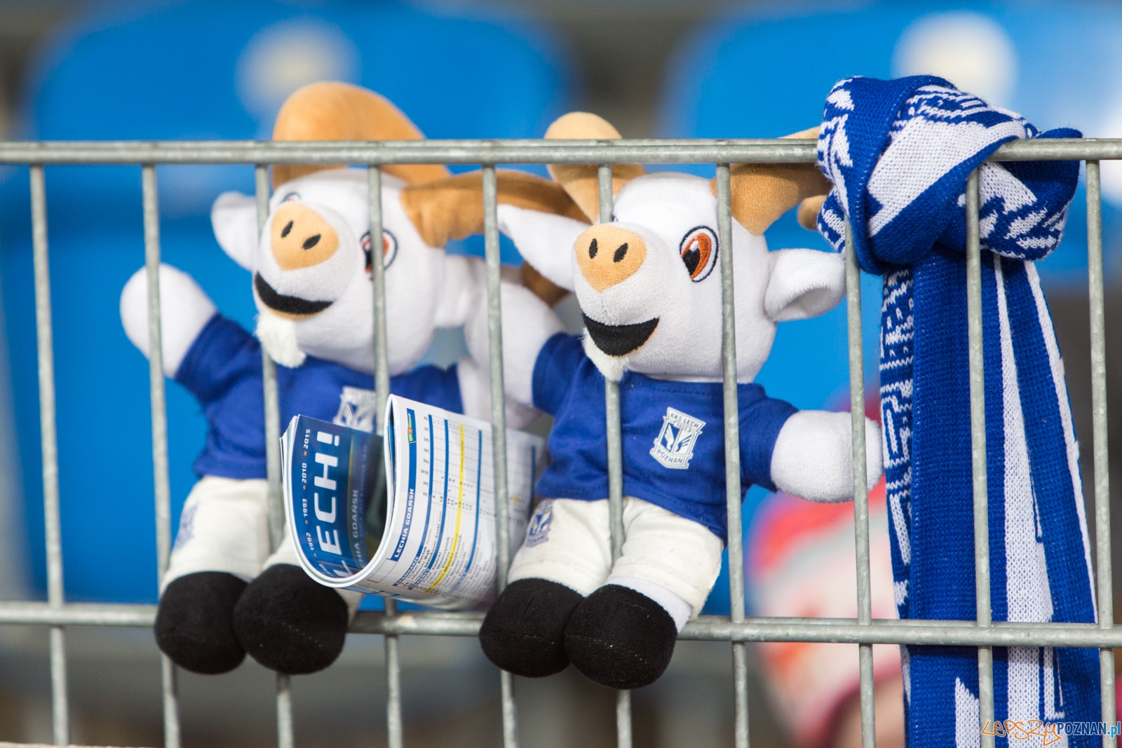 Lech Poznań - Lechia Gdańsk (najlepsi kibice na świecie) Foto: lepszyPOZNAN.pl / Piotr Rychter Lech Poznań - Lechia Gdańsk (najlepsi kibice na świecie) Foto: lepszyPOZNAN.pl / Piotr Rychter