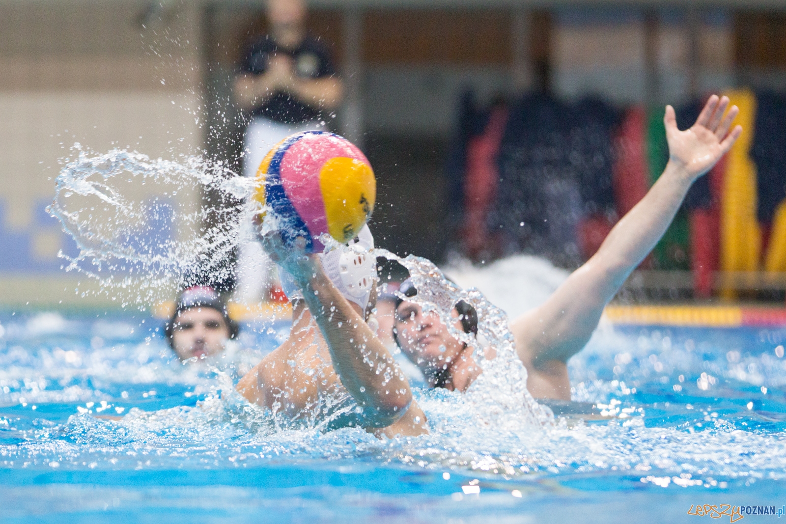 Waterpolo Poznań - Arkonia Szczecin Foto: lepszyPOZNAN.pl / Piotr Rychter Waterpolo Poznań - Arkonia Szczecin Foto: lepszyPOZNAN.pl / Piotr Rychter