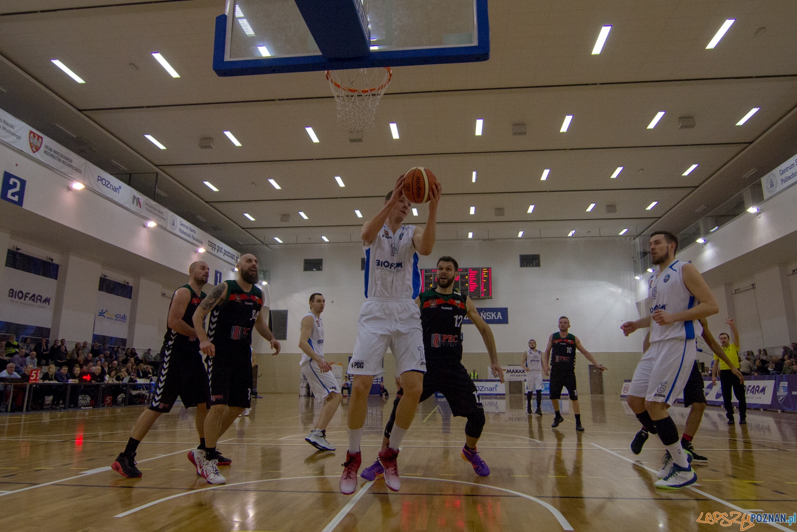 Biofarm Basket Poznań - GKS Tychy Foto: lepszyPOZNAN.pl / Ewelina Jaśkowiak Biofarm Basket Poznań - GKS Tychy Foto: lepszyPOZNAN.pl / Ewelina Jaśkowiak