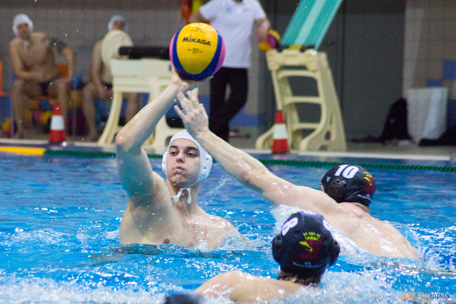 KS Waterpolo Poznań - Arkonia Szczecin Foto: lepszyPOZNAN.pl / Ewelina Jaśkowiak KS Waterpolo Poznań - Arkonia Szczecin Foto: lepszyPOZNAN.pl / Ewelina Jaśkowiak