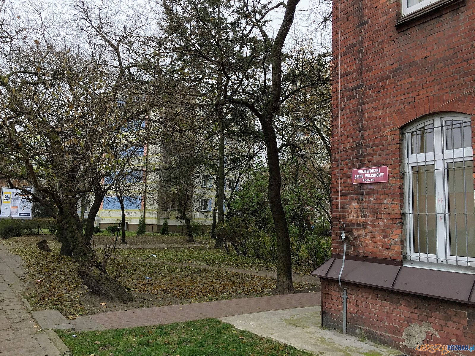 Tak było przed wycinką Foto: Marcin Liminowicz / Rada Osiedla Stare Miasto Tak było przed wycinką Foto: Marcin Liminowicz / Rada Osiedla Stare Miasto