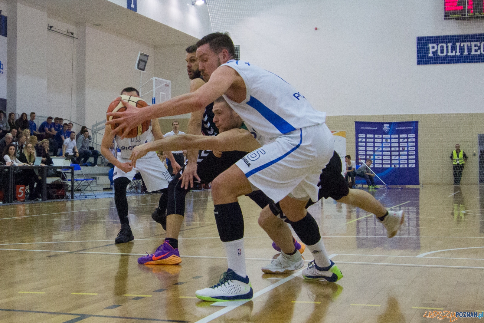 Biofarm Basket Poznań - GKS Tychy Foto: lepszyPOZNAN.pl / Ewelina Jaśkowiak Biofarm Basket Poznań - GKS Tychy Foto: lepszyPOZNAN.pl / Ewelina Jaśkowiak