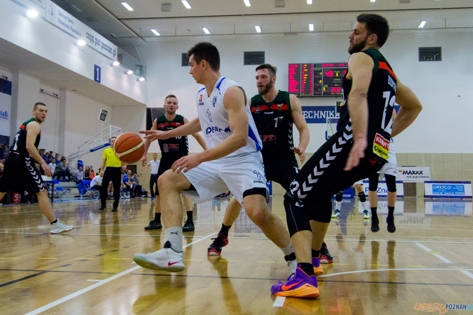 Biofarm Basket Poznań - GKS Tychy Foto: lepszyPOZNAN.pl / Ewelina Jaśkowiak Biofarm Basket Poznań - GKS Tychy Foto: lepszyPOZNAN.pl / Ewelina Jaśkowiak