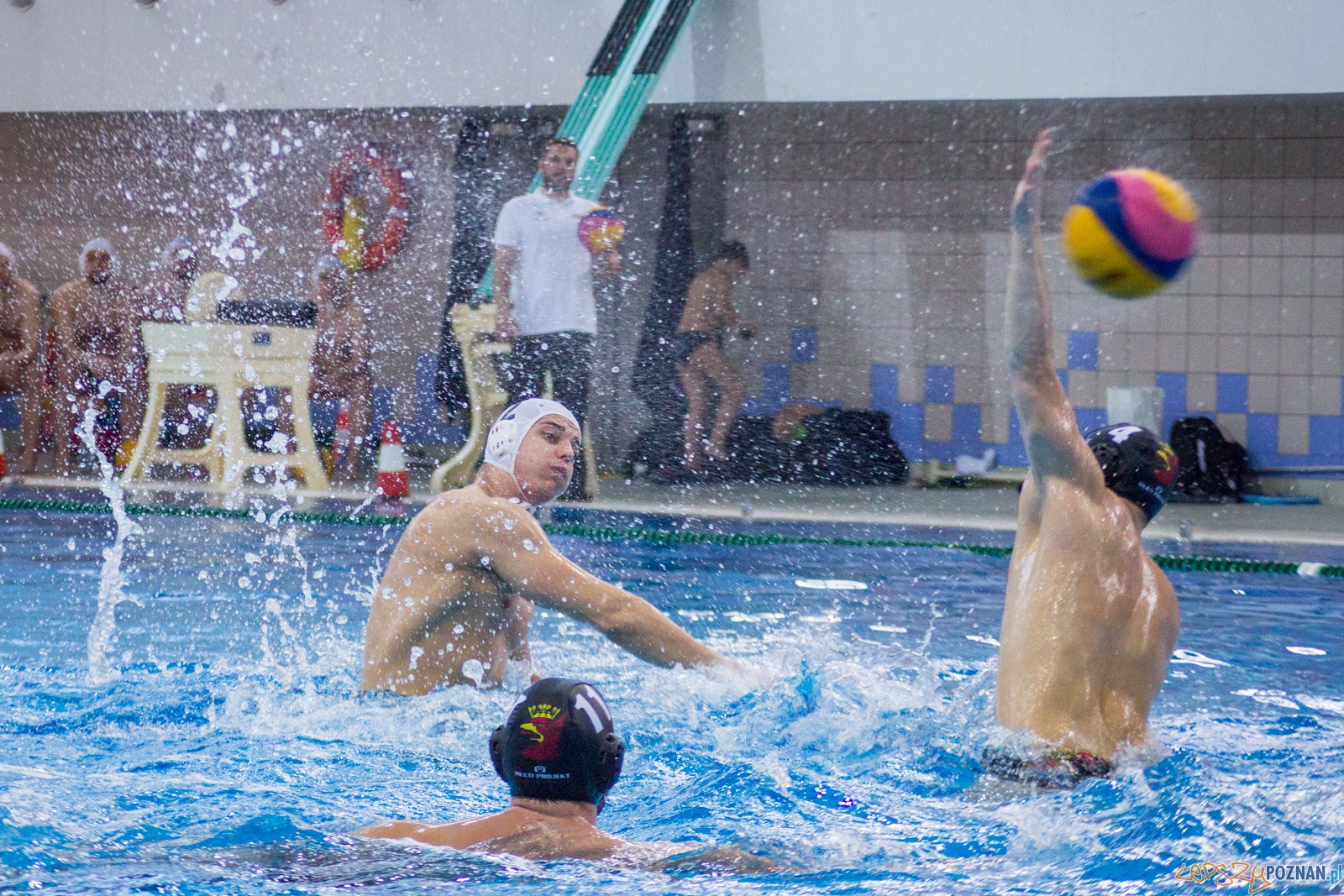 KS Waterpolo Poznań - Arkonia Szczecin (mecz rewanżowy) Foto: lepszyPOZNAN.pl / Ewelina Jaśkowiak KS Waterpolo Poznań - Arkonia Szczecin (mecz rewanżowy) Foto: lepszyPOZNAN.pl / Ewelina Jaśkowiak