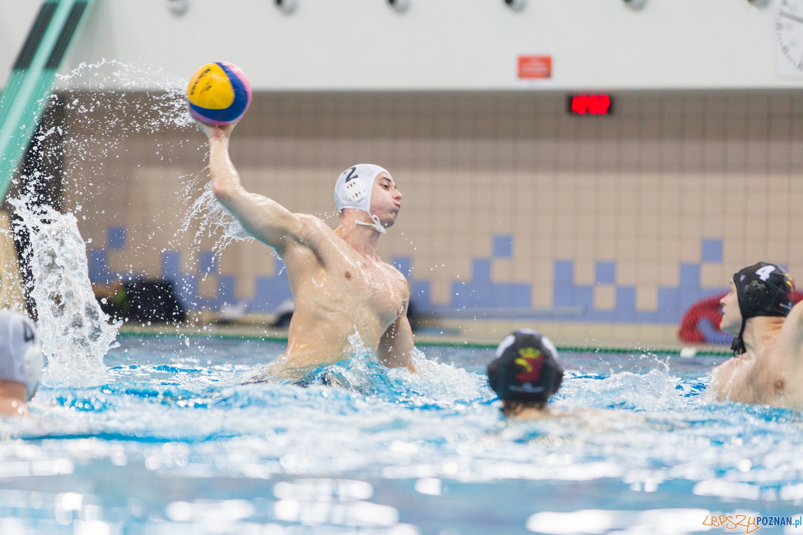 Waterpolo Poznań - Arkonia Szczecin (spotkanie rewanżowe) Foto: lepszyPOZNAN.pl / Piotr Rychter Waterpolo Poznań - Arkonia Szczecin (spotkanie rewanżowe) Foto: lepszyPOZNAN.pl / Piotr Rychter