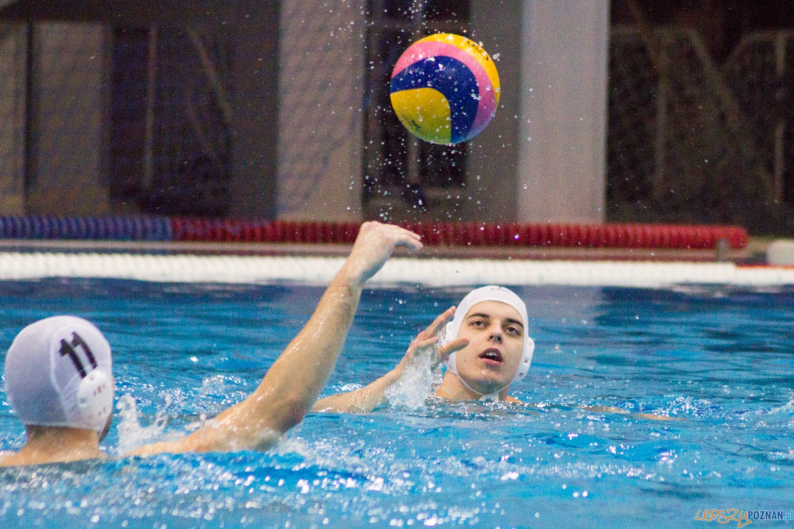 KS Waterpolo Poznań - Arkonia Szczecin Foto: lepszyPOZNAN.pl / Ewelina Jaśkowiak KS Waterpolo Poznań - Arkonia Szczecin Foto: lepszyPOZNAN.pl / Ewelina Jaśkowiak