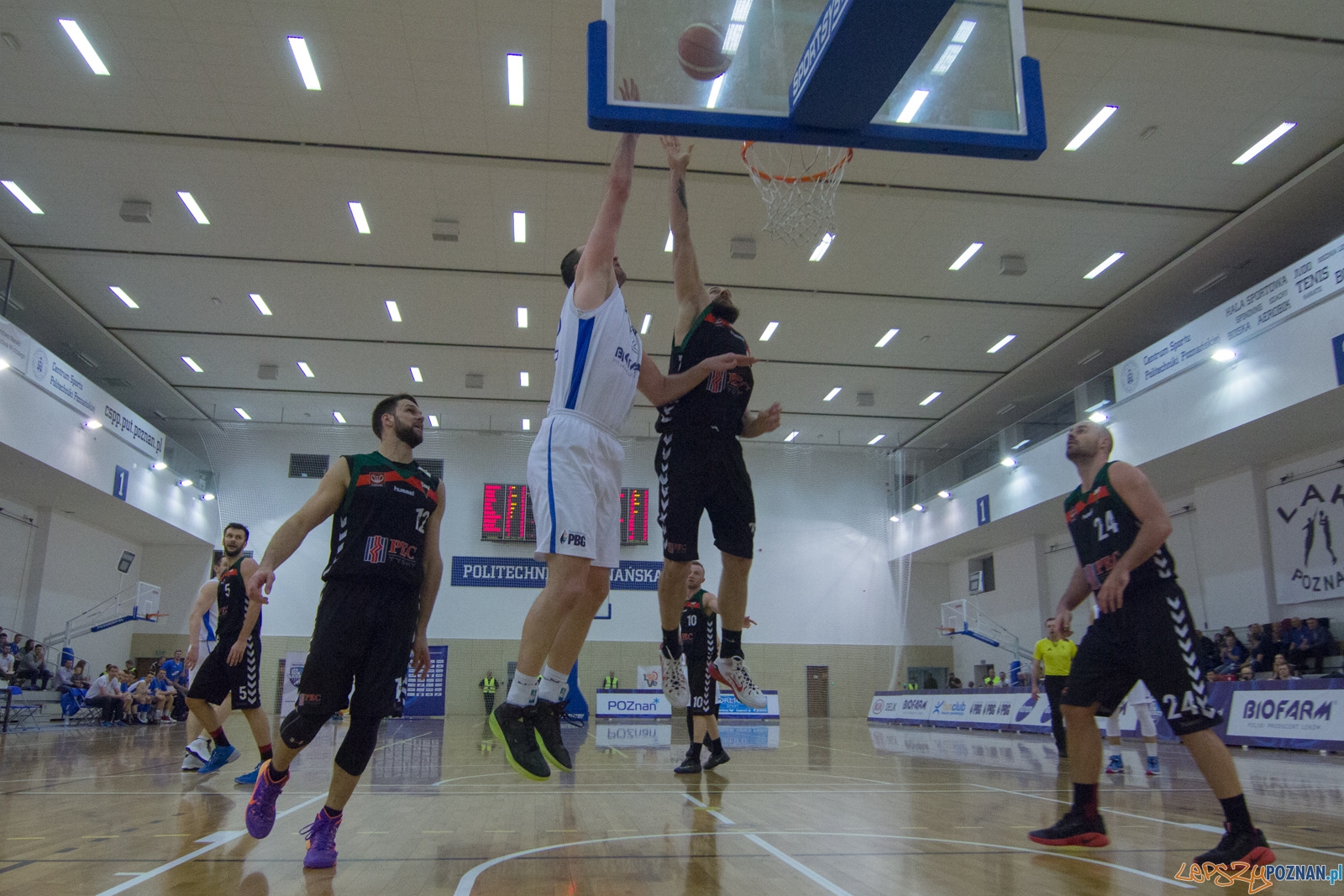 Biofarm Basket Poznań - GKS Tychy Foto: lepszyPOZNAN.pl / Ewelina Jaśkowiak Biofarm Basket Poznań - GKS Tychy Foto: lepszyPOZNAN.pl / Ewelina Jaśkowiak