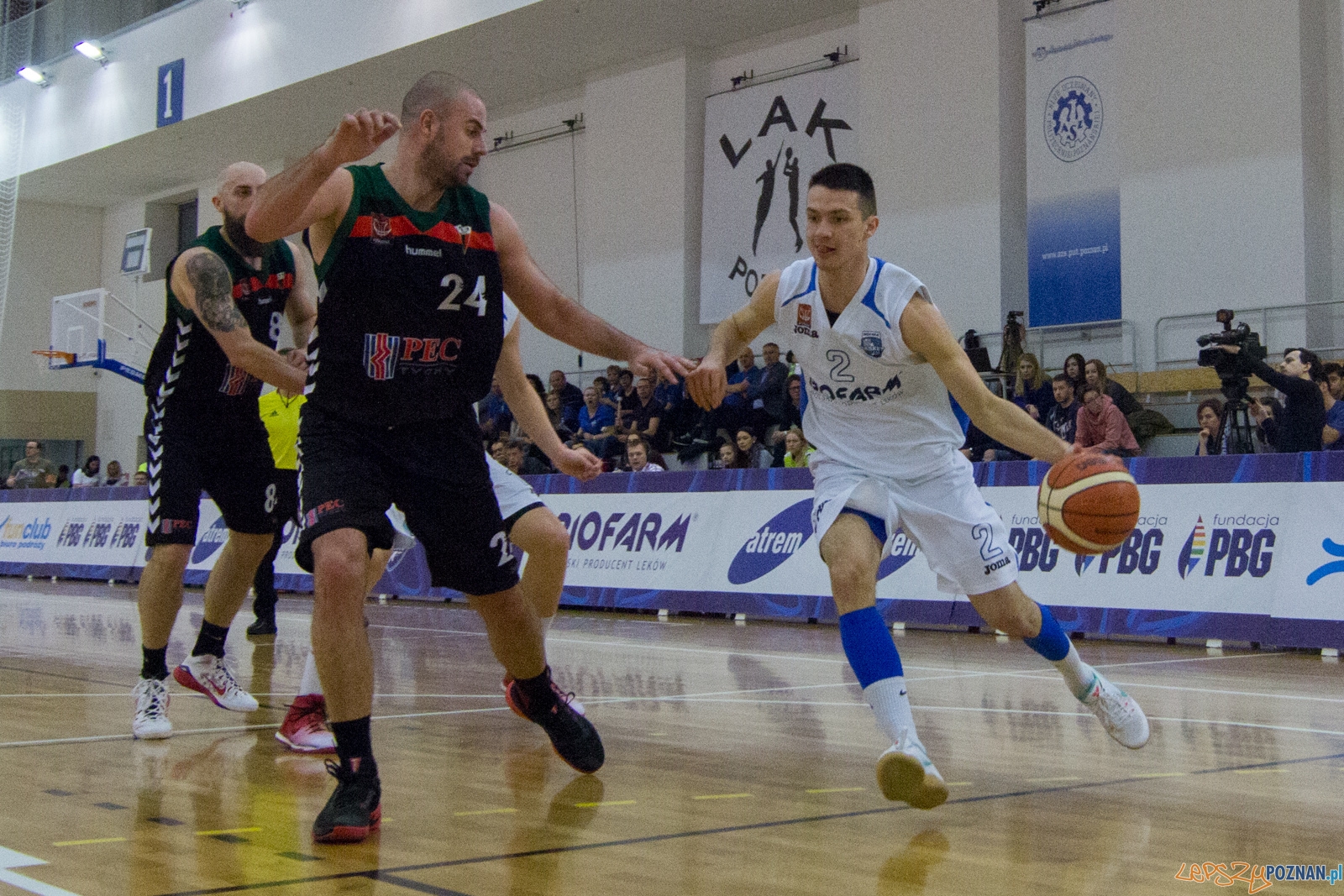 Biofarm Basket Poznań - GKS Tychy Foto: lepszyPOZNAN.pl / Ewelina Jaśkowiak Biofarm Basket Poznań - GKS Tychy Foto: lepszyPOZNAN.pl / Ewelina Jaśkowiak