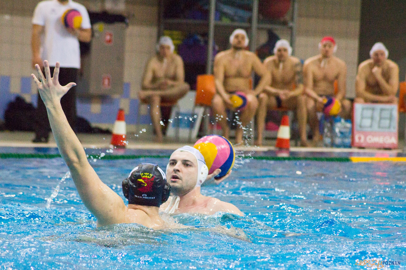 KS Waterpolo Poznań - Arkonia Szczecin Foto: lepszyPOZNAN.pl / Ewelina Jaśkowiak KS Waterpolo Poznań - Arkonia Szczecin Foto: lepszyPOZNAN.pl / Ewelina Jaśkowiak