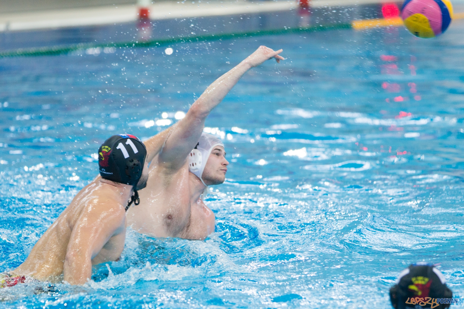Waterpolo Poznań - Arkonia Szczecin (spotkanie rewanżowe) Foto: lepszyPOZNAN.pl / Piotr Rychter Waterpolo Poznań - Arkonia Szczecin (spotkanie rewanżowe) Foto: lepszyPOZNAN.pl / Piotr Rychter