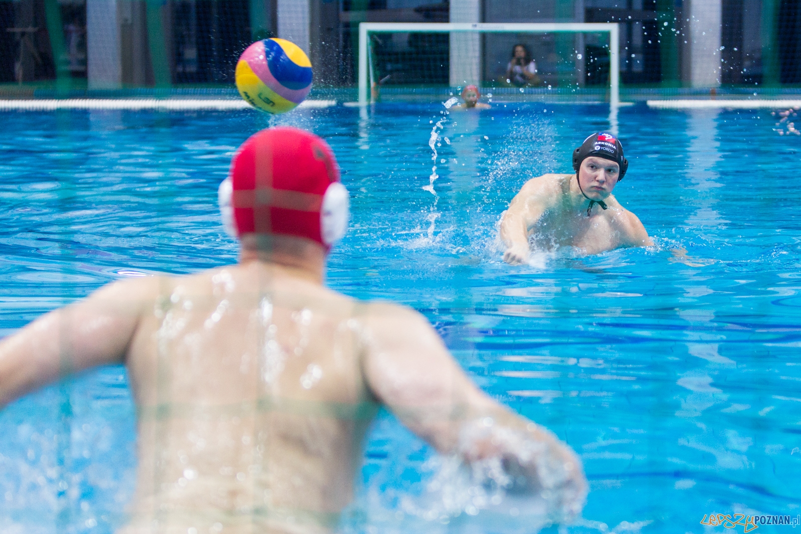Waterpolo Poznań - Arkonia Szczecin Foto: lepszyPOZNAN.pl / Piotr Rychter Waterpolo Poznań - Arkonia Szczecin Foto: lepszyPOZNAN.pl / Piotr Rychter