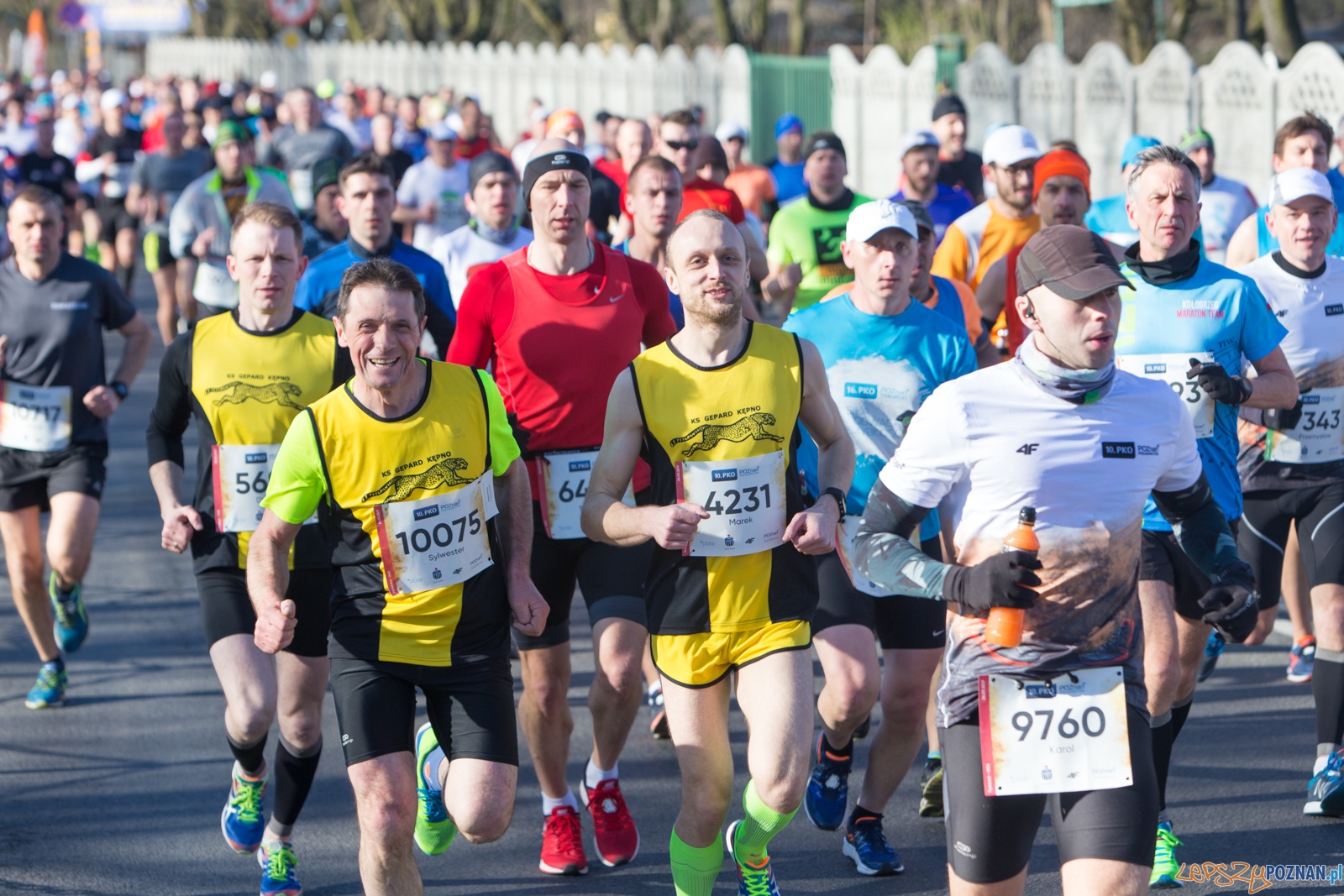 10. PKO Poznań Pólmaraton Foto: lepszyPOZNAN.pl / Piotr Rychter 10. PKO Poznań Pólmaraton Foto: lepszyPOZNAN.pl / Piotr Rychter