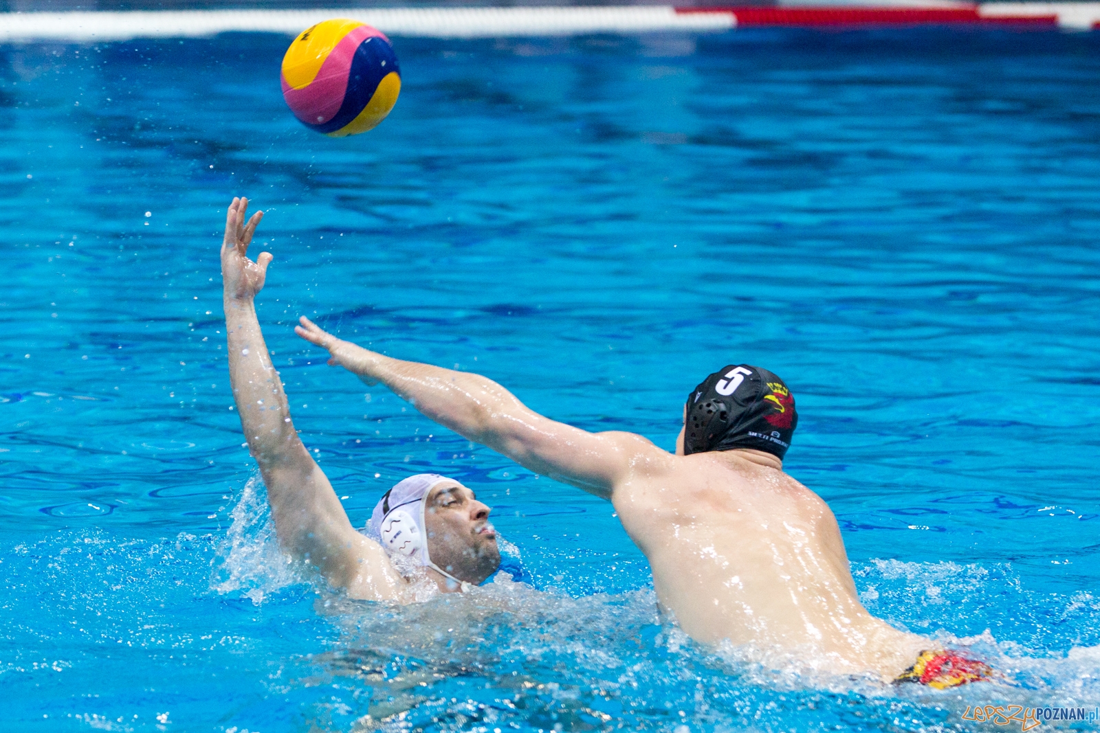 Waterpolo Poznań - Arkonia Szczecin Foto: lepszyPOZNAN.pl / Piotr Rychter Waterpolo Poznań - Arkonia Szczecin Foto: lepszyPOZNAN.pl / Piotr Rychter