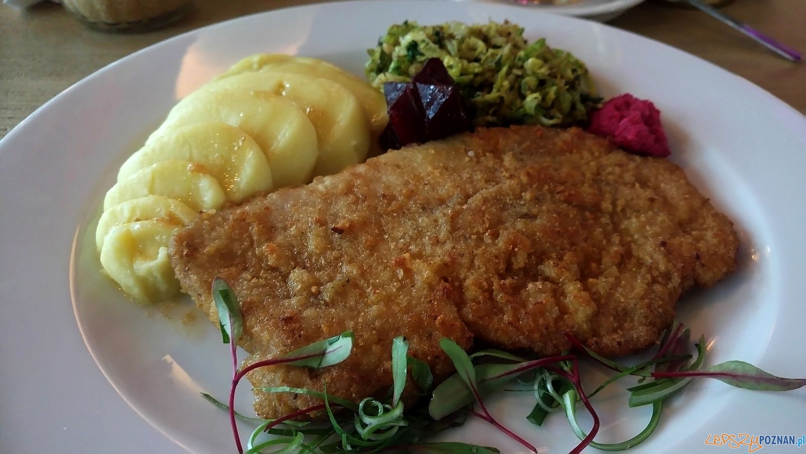 Wiosenne menu Poznańskiego Klubu Biesiadników Foto: exPress Dziennikarska Agencja Usługowa Wiosenne menu Poznańskiego Klubu Biesiadników Foto: exPress Dziennikarska Agencja Usługowa