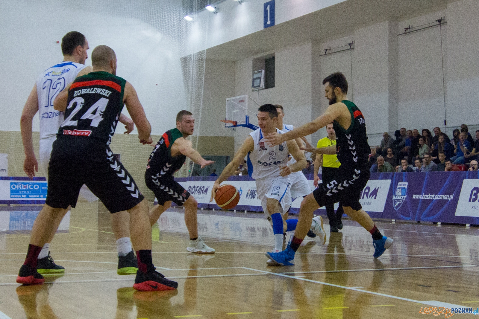 Biofarm Basket Poznań - GKS Tychy Foto: lepszyPOZNAN.pl / Ewelina Jaśkowiak Biofarm Basket Poznań - GKS Tychy Foto: lepszyPOZNAN.pl / Ewelina Jaśkowiak