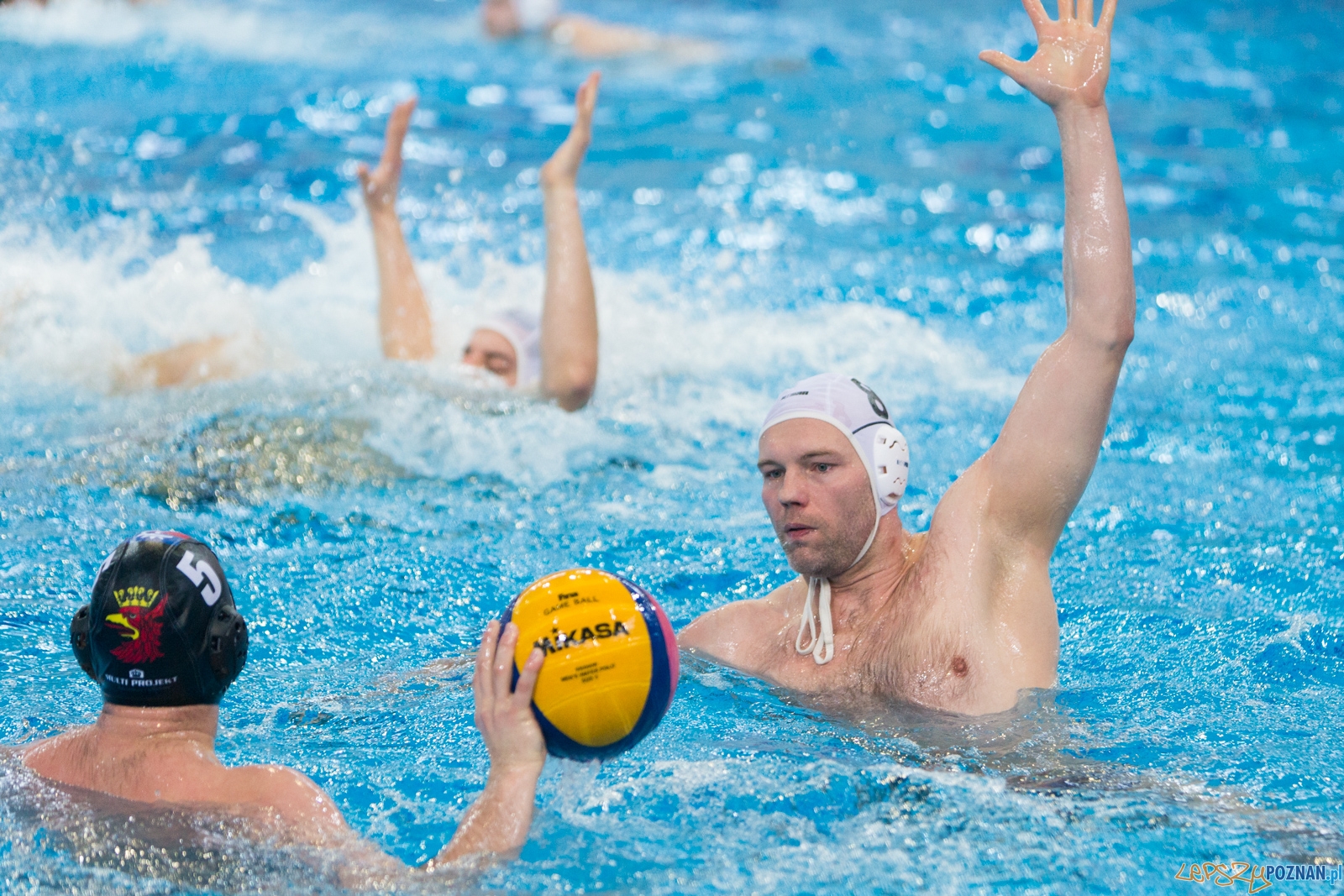 Waterpolo Poznań - Arkonia Szczecin (spotkanie rewanżowe) Foto: lepszyPOZNAN.pl / Piotr Rychter Waterpolo Poznań - Arkonia Szczecin (spotkanie rewanżowe) Foto: lepszyPOZNAN.pl / Piotr Rychter