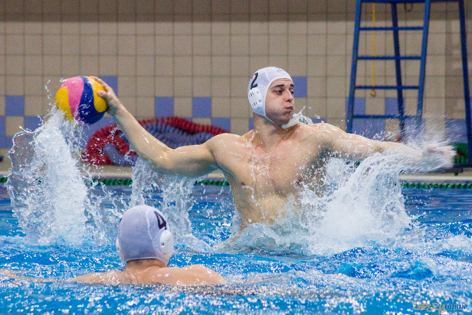 KS Waterpolo Poznań - Arkonia Szczecin Foto: lepszyPOZNAN.pl / Ewelina Jaśkowiak KS Waterpolo Poznań - Arkonia Szczecin Foto: lepszyPOZNAN.pl / Ewelina Jaśkowiak