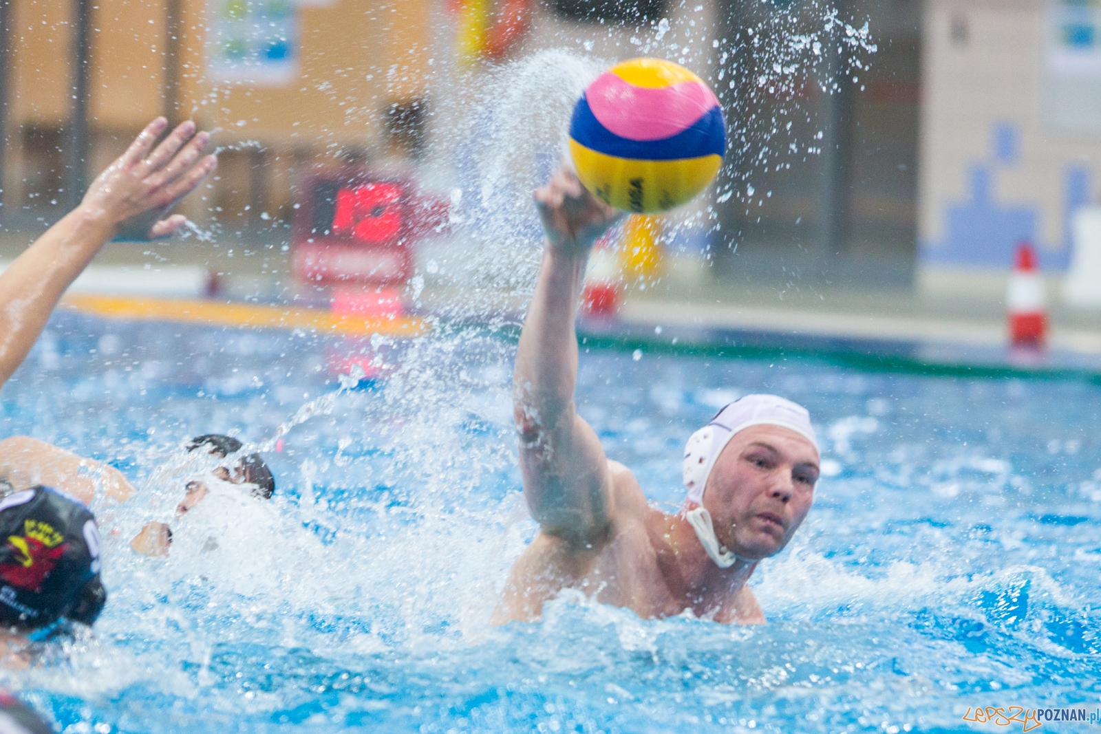Waterpolo Poznań - Arkonia Szczecin (spotkanie rewanżowe) Foto: lepszyPOZNAN.pl / Piotr Rychter Waterpolo Poznań - Arkonia Szczecin (spotkanie rewanżowe) Foto: lepszyPOZNAN.pl / Piotr Rychter