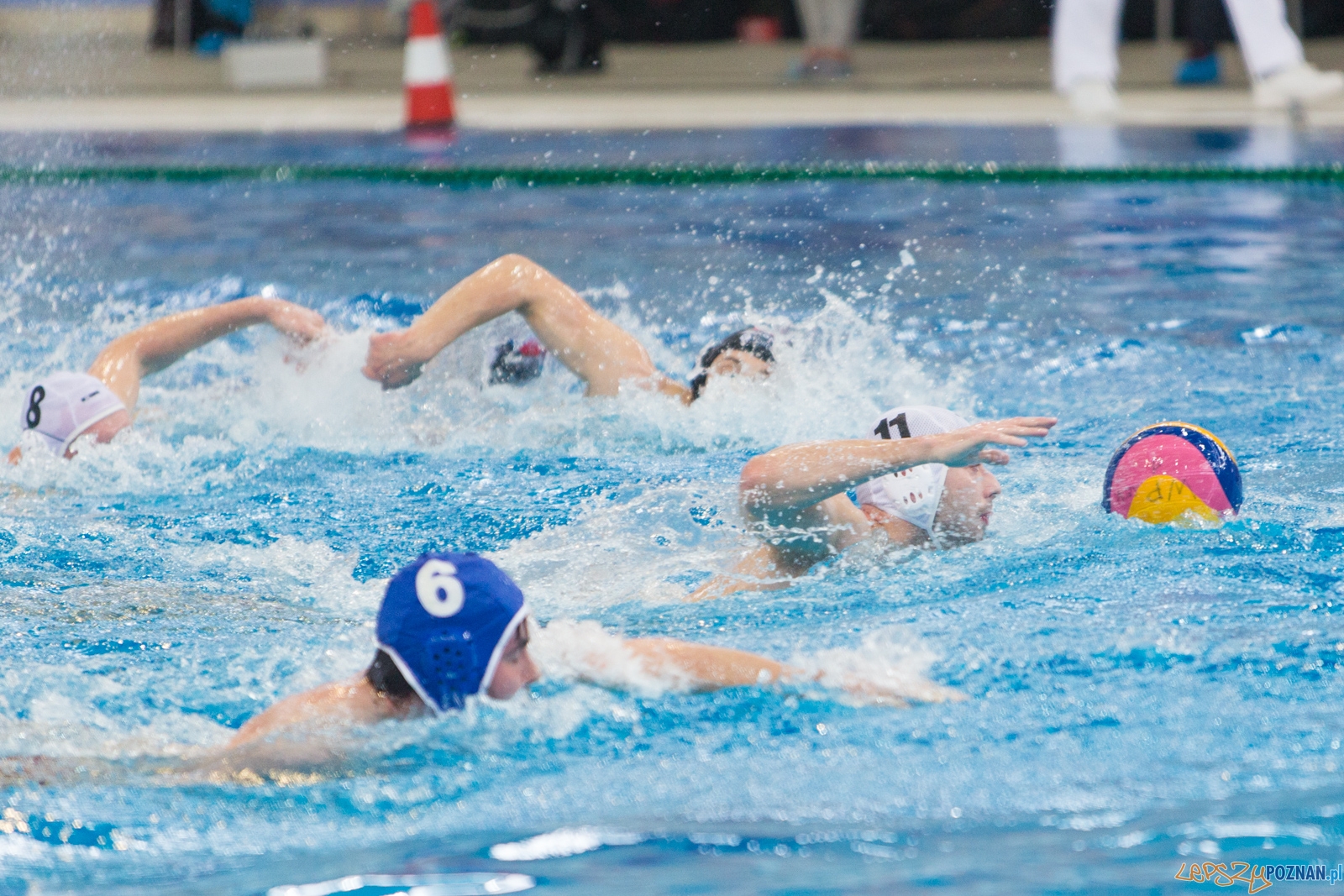 Waterpolo Poznań - Arkonia Szczecin (spotkanie rewanżowe) Foto: lepszyPOZNAN.pl / Piotr Rychter Waterpolo Poznań - Arkonia Szczecin (spotkanie rewanżowe) Foto: lepszyPOZNAN.pl / Piotr Rychter