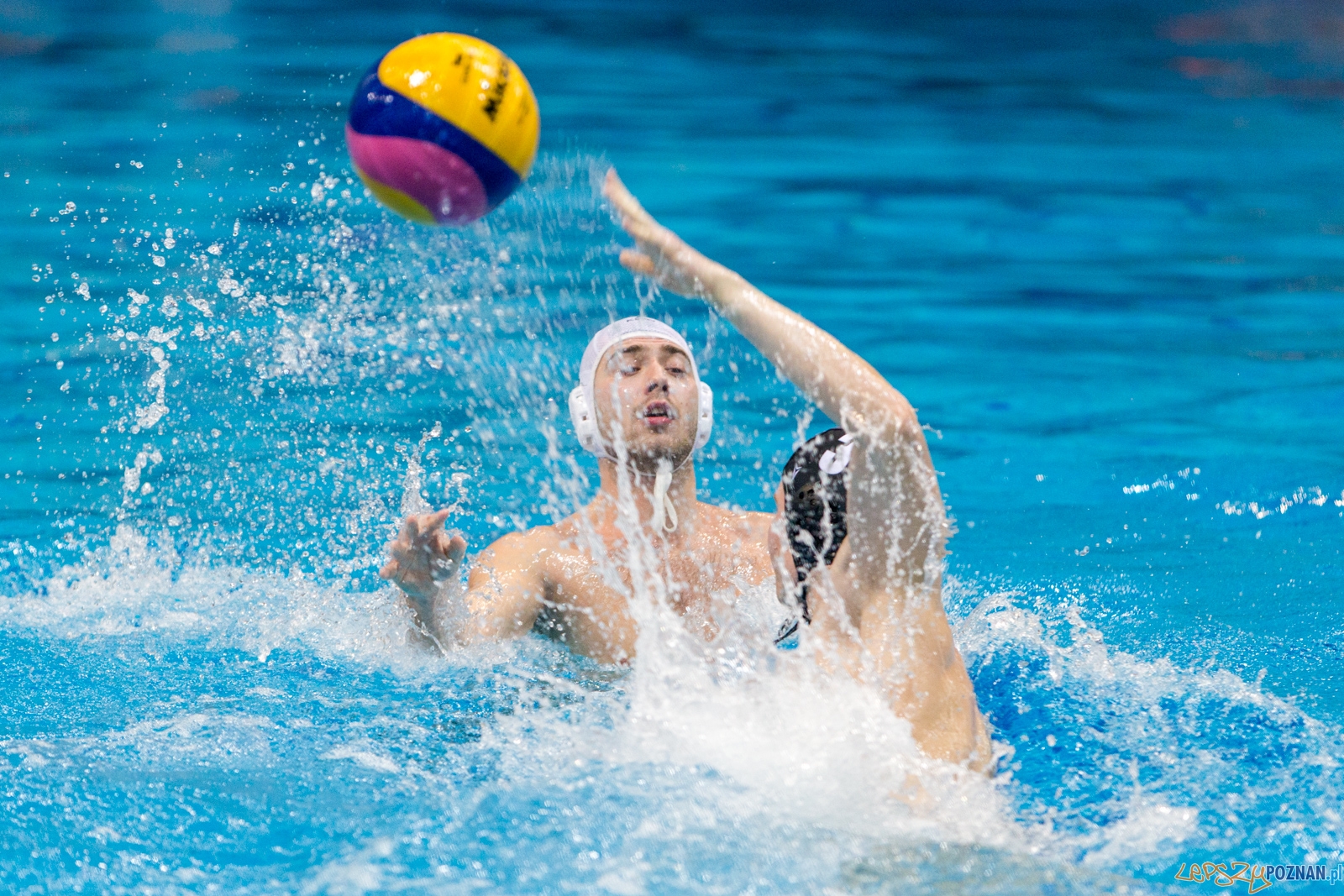 Waterpolo Poznań - Arkonia Szczecin Foto: lepszyPOZNAN.pl / Piotr Rychter Waterpolo Poznań - Arkonia Szczecin Foto: lepszyPOZNAN.pl / Piotr Rychter