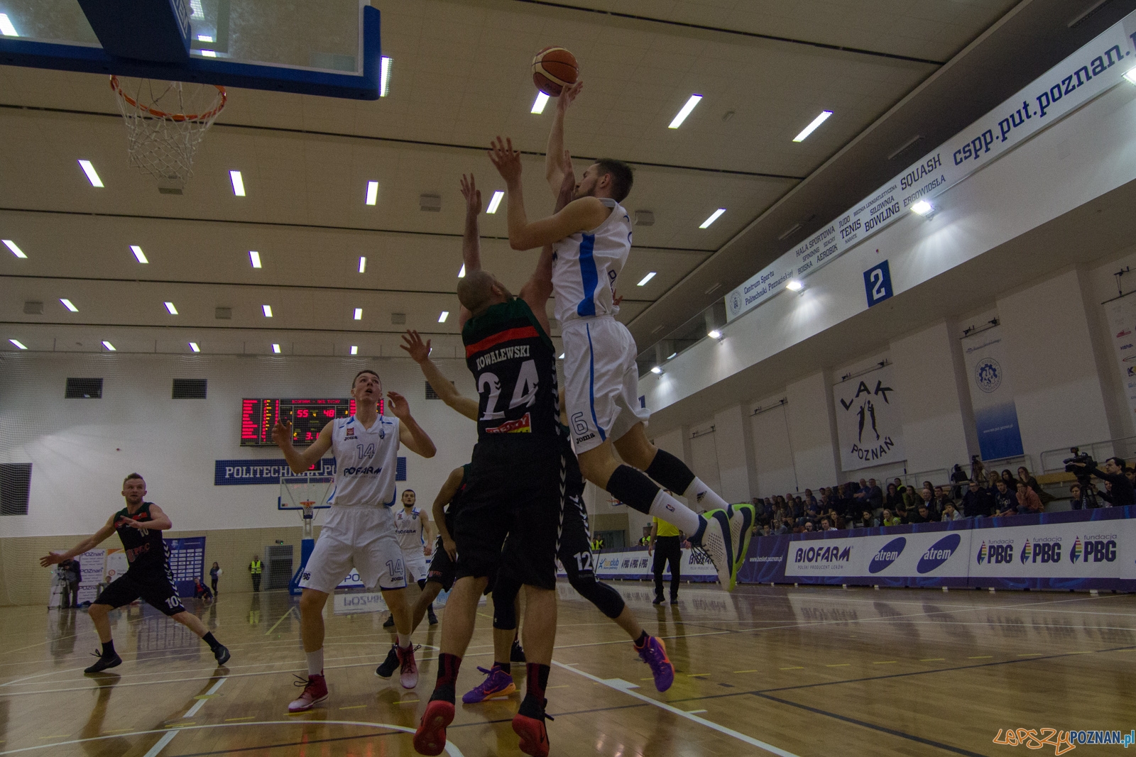 Biofarm Basket Poznań - GKS Tychy Foto: lepszyPOZNAN.pl / Ewelina Jaśkowiak Biofarm Basket Poznań - GKS Tychy Foto: lepszyPOZNAN.pl / Ewelina Jaśkowiak