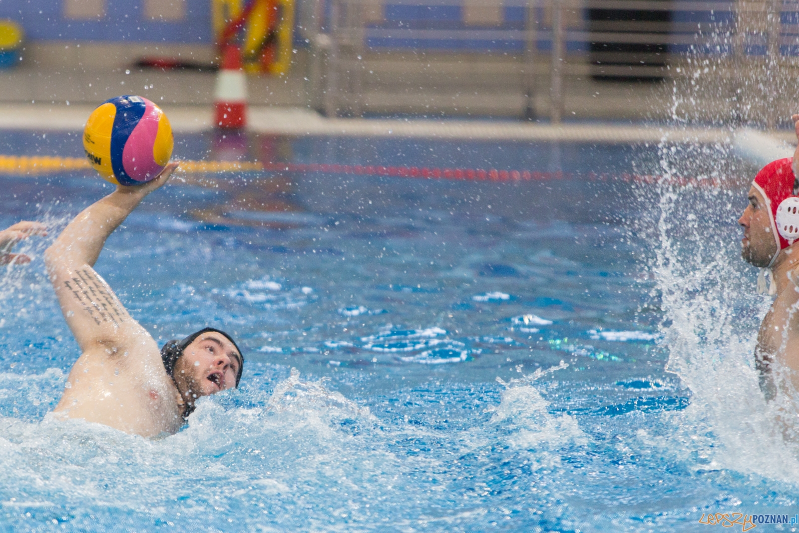 Waterpolo Poznań - Arkonia Szczecin (spotkanie rewanżowe) Foto: lepszyPOZNAN.pl / Piotr Rychter Waterpolo Poznań - Arkonia Szczecin (spotkanie rewanżowe) Foto: lepszyPOZNAN.pl / Piotr Rychter