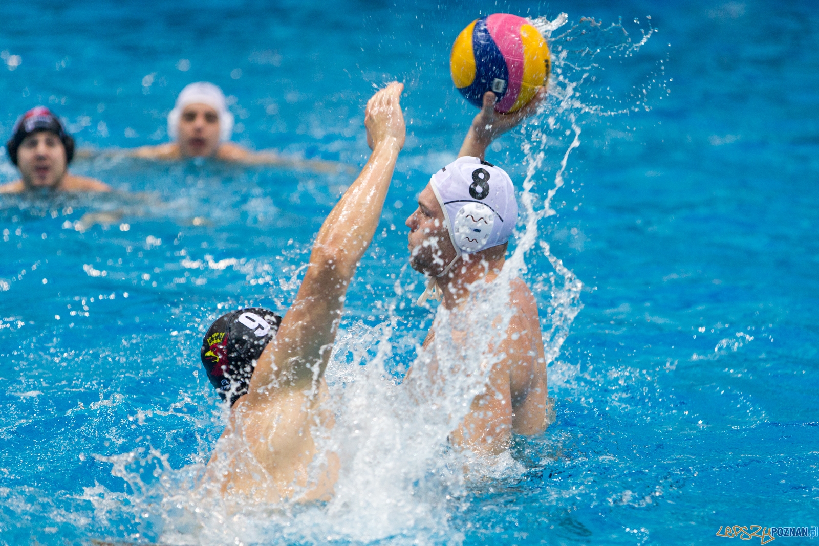 Waterpolo Poznań - Arkonia Szczecin Foto: lepszyPOZNAN.pl / Piotr Rychter Waterpolo Poznań - Arkonia Szczecin Foto: lepszyPOZNAN.pl / Piotr Rychter