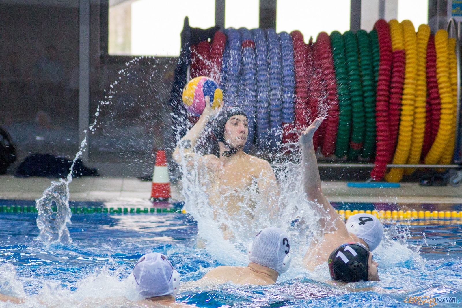 KS Waterpolo Poznań - Arkonia Szczecin (mecz rewanżowy) Foto: lepszyPOZNAN.pl / Ewelina Jaśkowiak KS Waterpolo Poznań - Arkonia Szczecin (mecz rewanżowy) Foto: lepszyPOZNAN.pl / Ewelina Jaśkowiak