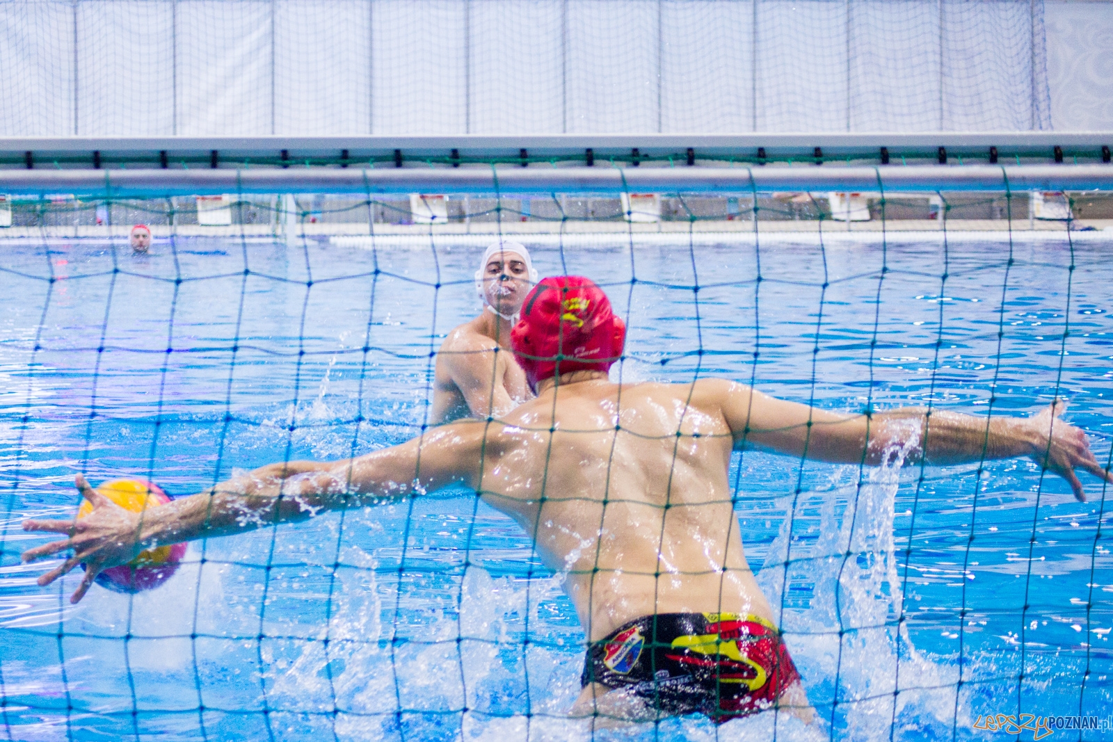 KS Waterpolo Poznań - Arkonia Szczecin Foto: lepszyPOZNAN.pl / Ewelina Jaśkowiak KS Waterpolo Poznań - Arkonia Szczecin Foto: lepszyPOZNAN.pl / Ewelina Jaśkowiak