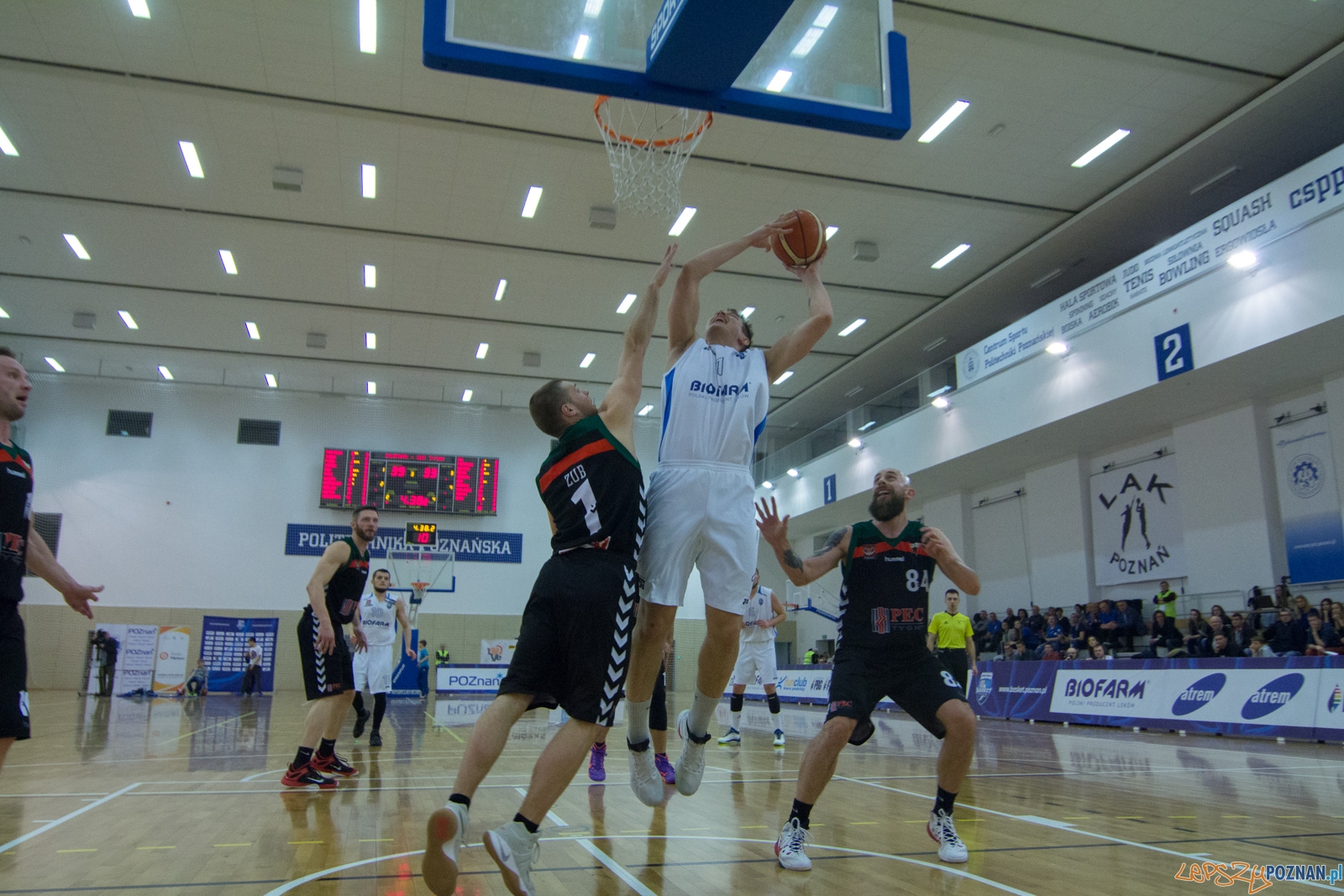 Biofarm Basket Poznań - GKS Tychy Foto: lepszyPOZNAN.pl / Ewelina Jaśkowiak Biofarm Basket Poznań - GKS Tychy Foto: lepszyPOZNAN.pl / Ewelina Jaśkowiak