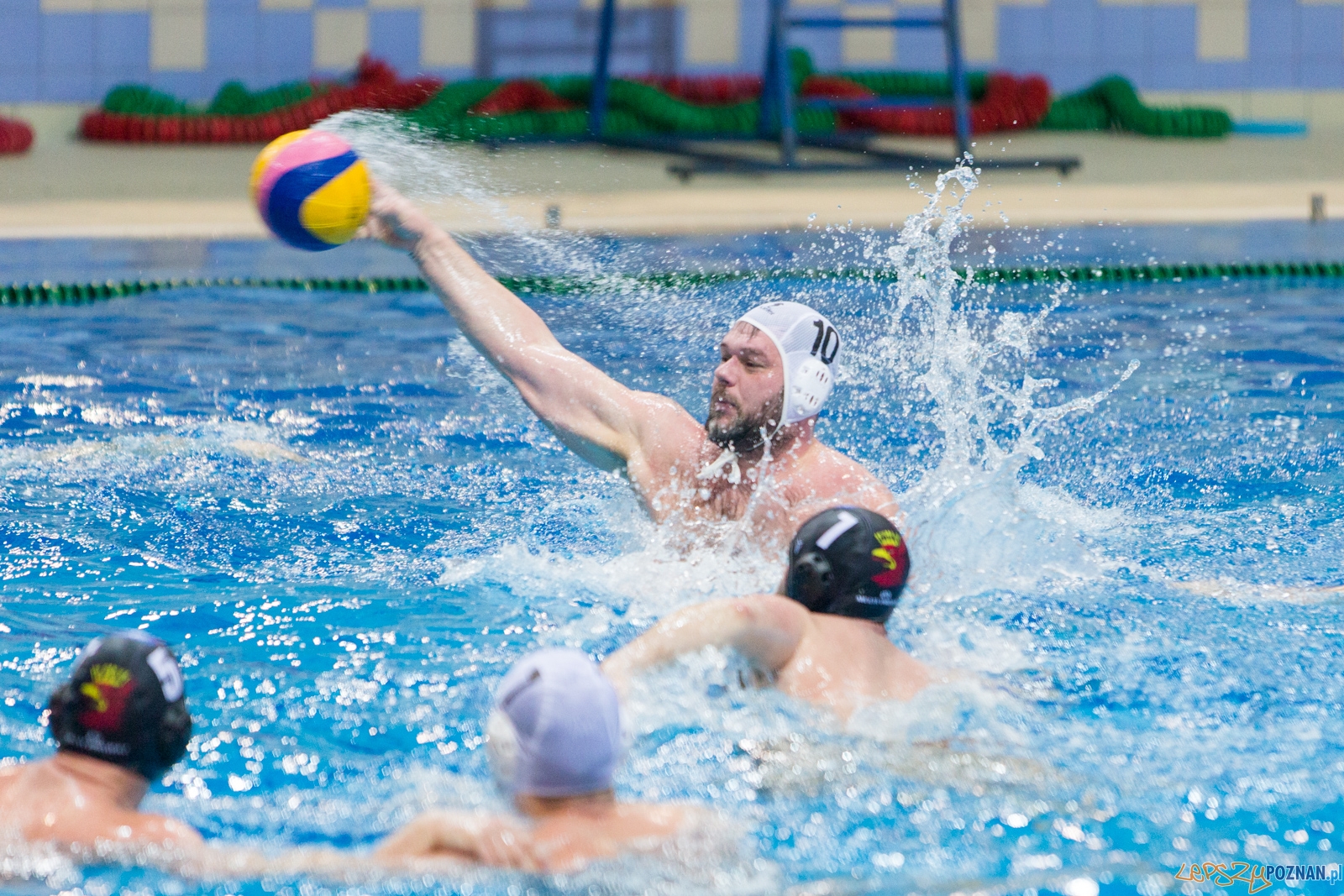 Waterpolo Poznań - Arkonia Szczecin Foto: lepszyPOZNAN.pl / Piotr Rychter Waterpolo Poznań - Arkonia Szczecin Foto: lepszyPOZNAN.pl / Piotr Rychter