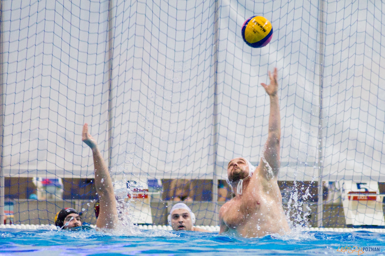 KS Waterpolo Poznań - Arkonia Szczecin Foto: lepszyPOZNAN.pl / Ewelina Jaśkowiak KS Waterpolo Poznań - Arkonia Szczecin Foto: lepszyPOZNAN.pl / Ewelina Jaśkowiak