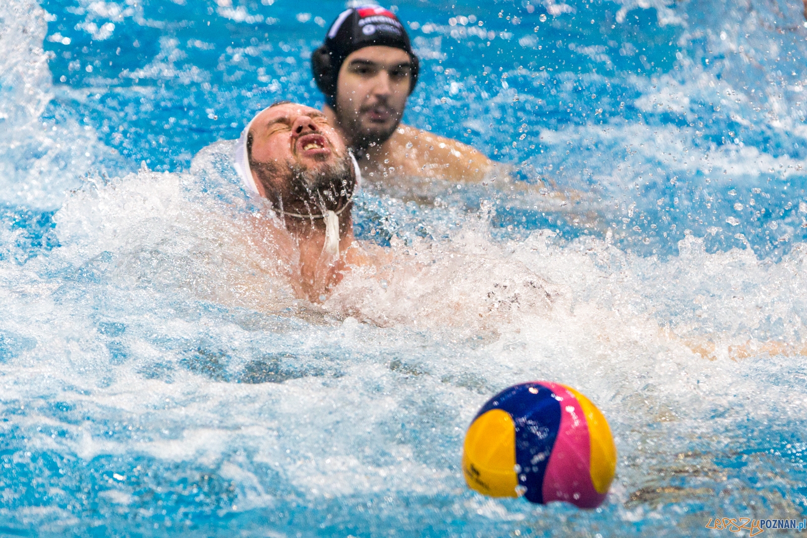 Waterpolo Poznań - Arkonia Szczecin Foto: lepszyPOZNAN.pl / Piotr Rychter Waterpolo Poznań - Arkonia Szczecin Foto: lepszyPOZNAN.pl / Piotr Rychter