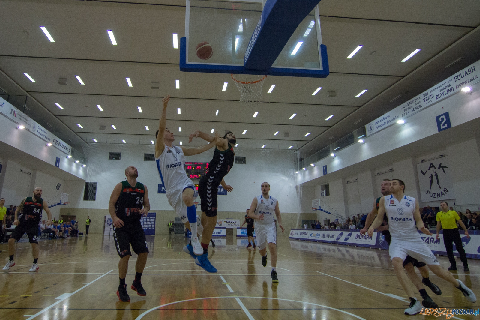 Biofarm Basket Poznań - GKS Tychy Foto: lepszyPOZNAN.pl / Ewelina Jaśkowiak Biofarm Basket Poznań - GKS Tychy Foto: lepszyPOZNAN.pl / Ewelina Jaśkowiak
