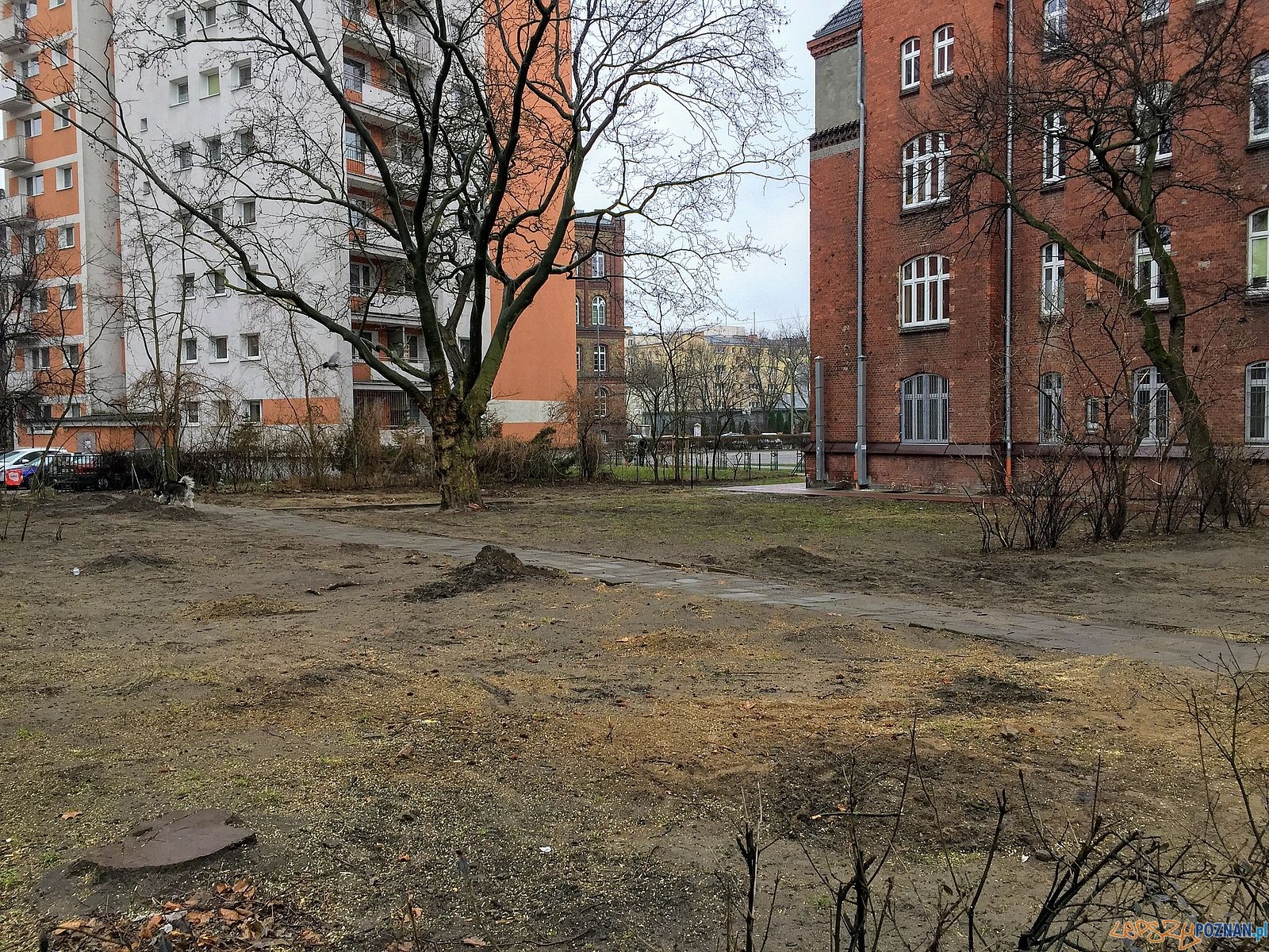 Tu był zielony skwer Foto: Marcin Liminowicz / Rada Osiedla Stare Miasto Tu był zielony skwer Foto: Marcin Liminowicz / Rada Osiedla Stare Miasto