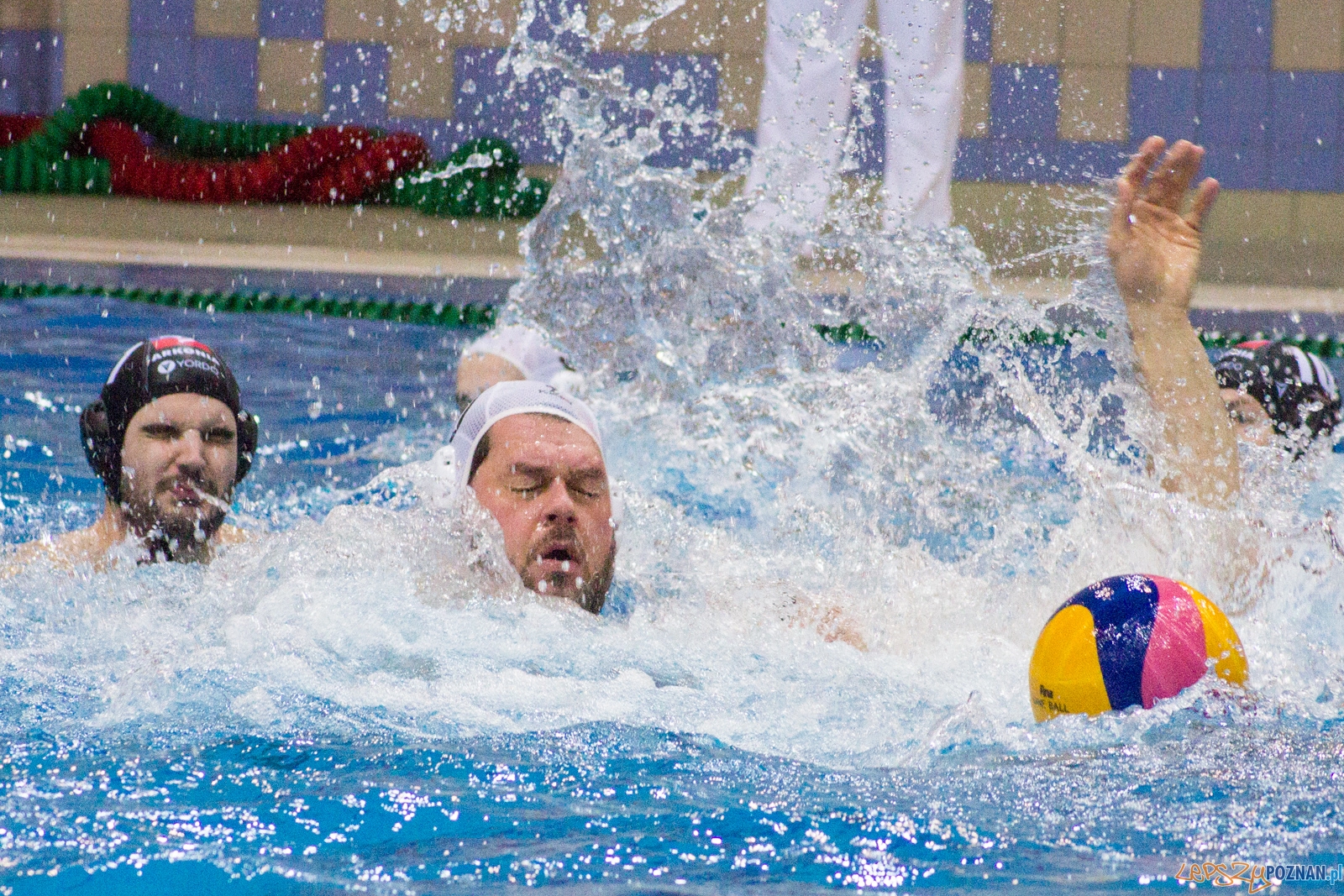 KS Waterpolo Poznań - Arkonia Szczecin Foto: lepszyPOZNAN.pl / Ewelina Jaśkowiak KS Waterpolo Poznań - Arkonia Szczecin Foto: lepszyPOZNAN.pl / Ewelina Jaśkowiak