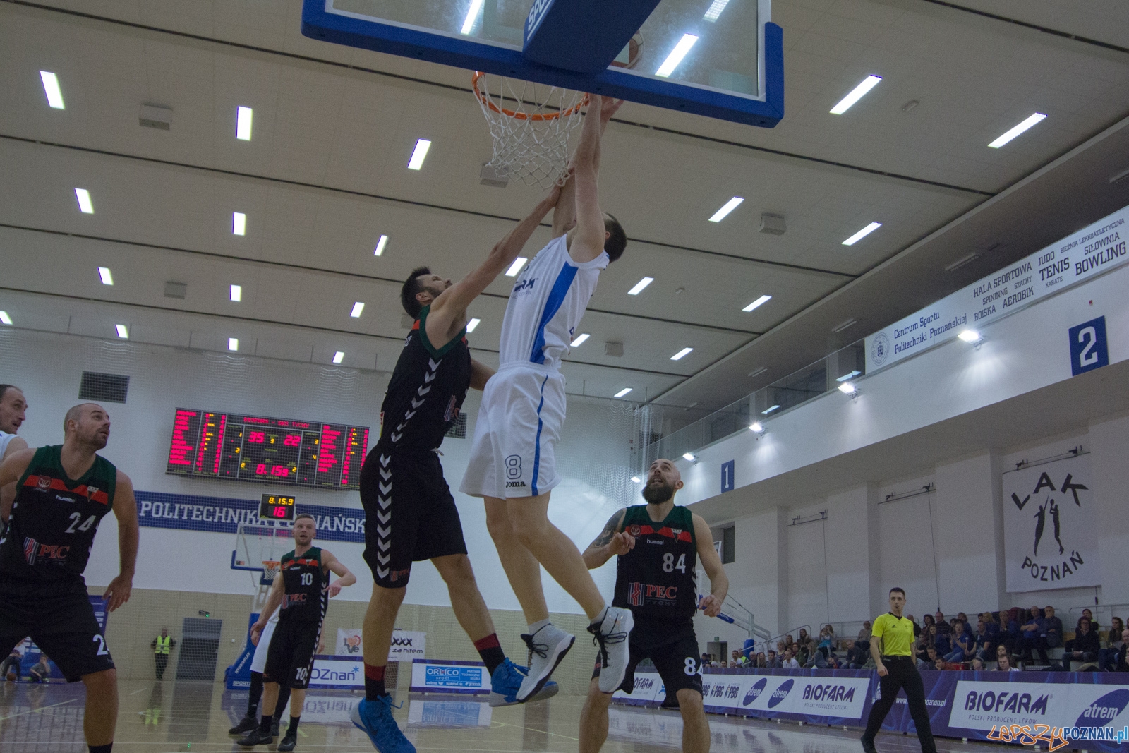 Biofarm Basket Poznań - GKS Tychy Foto: lepszyPOZNAN.pl / Ewelina Jaśkowiak Biofarm Basket Poznań - GKS Tychy Foto: lepszyPOZNAN.pl / Ewelina Jaśkowiak