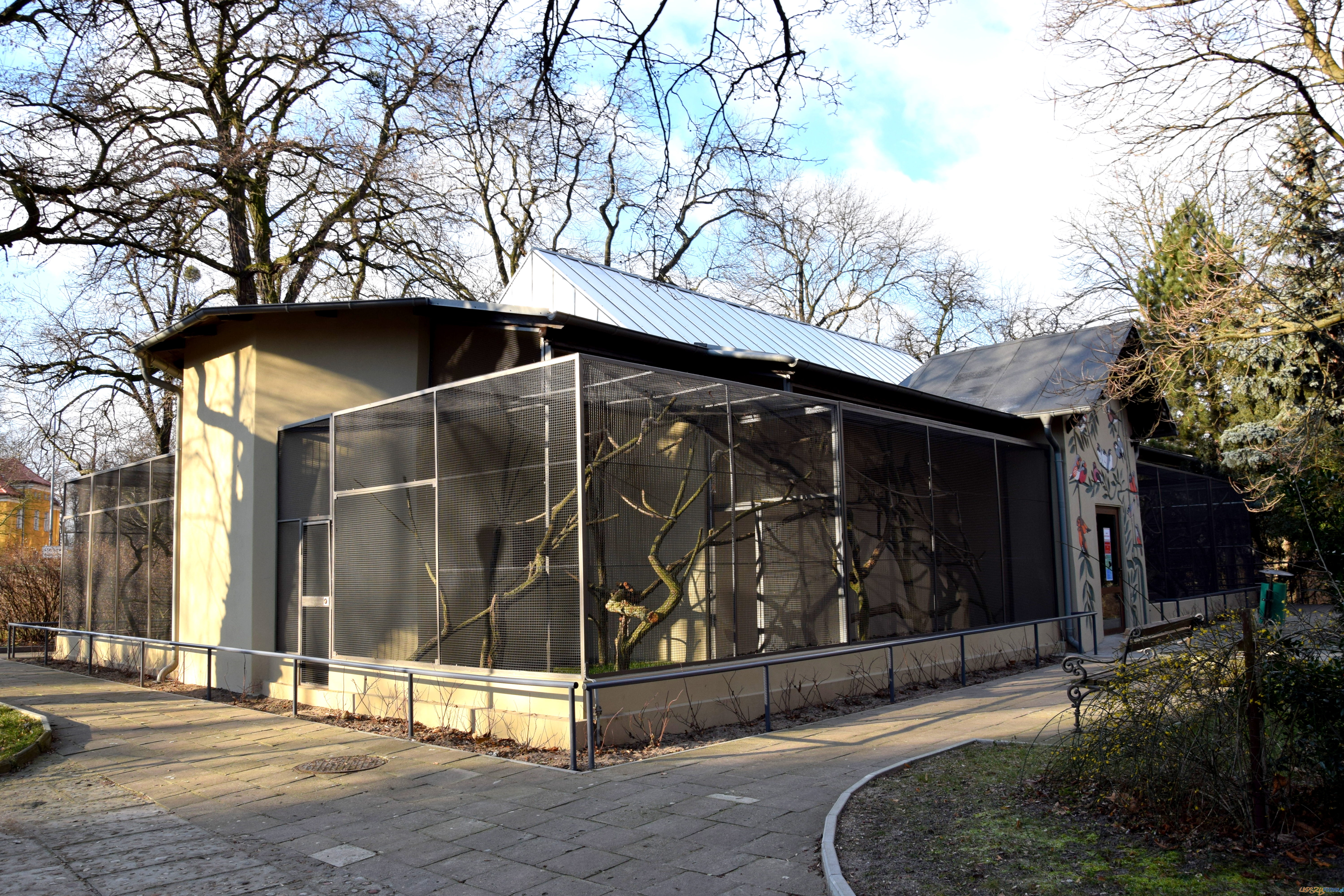 azyl dla małp Ameryki Południowej w Starym Zoo Foto: ZOO POZNAŃ azyl dla małp Ameryki Południowej w Starym Zoo Foto: ZOO POZNAŃ